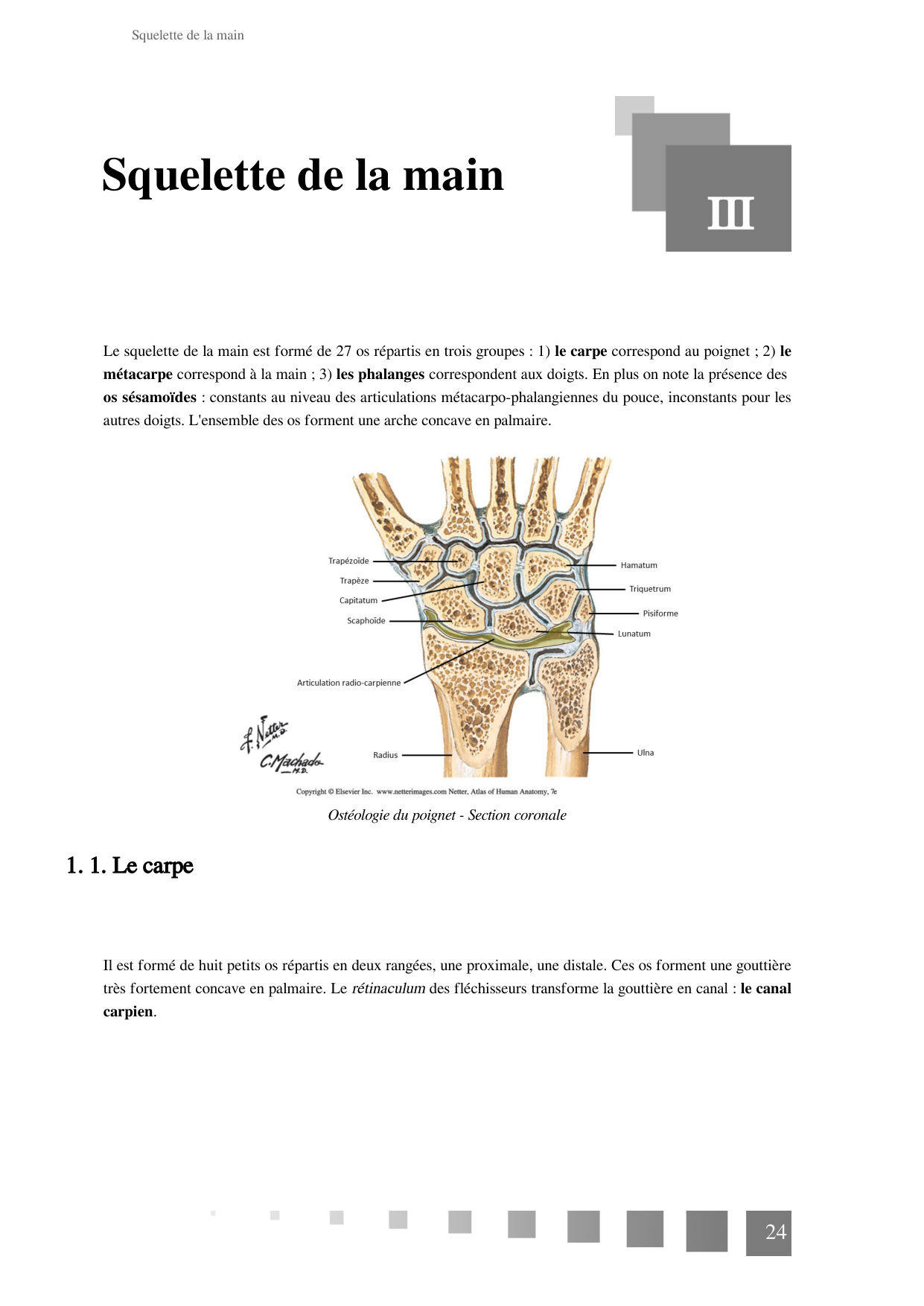 TP Membre Thoracique 2022 page 24