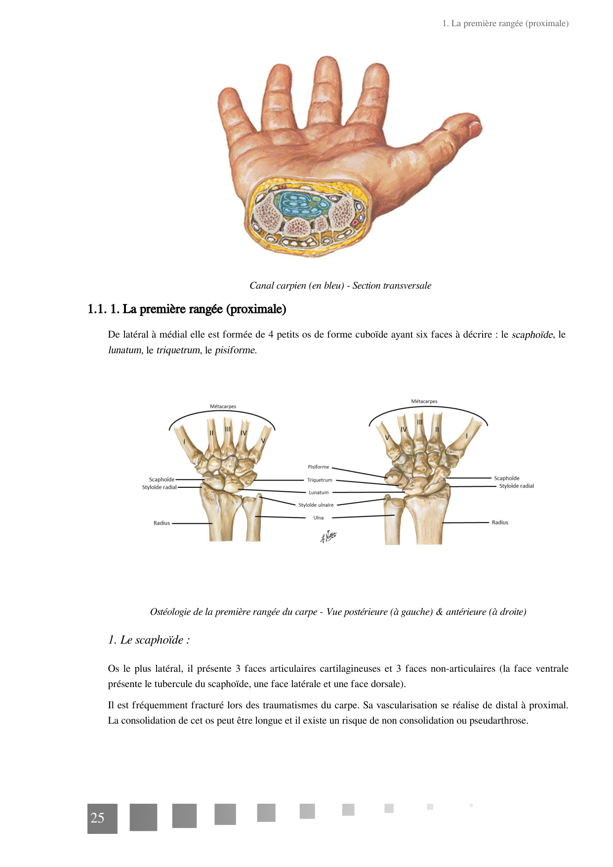 TP Membre Thoracique 2022 page 25
