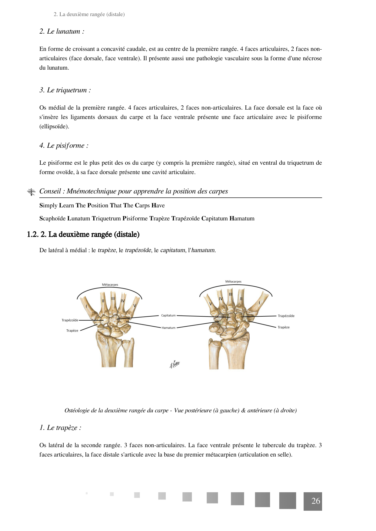 TP Membre Thoracique 2022 page 26