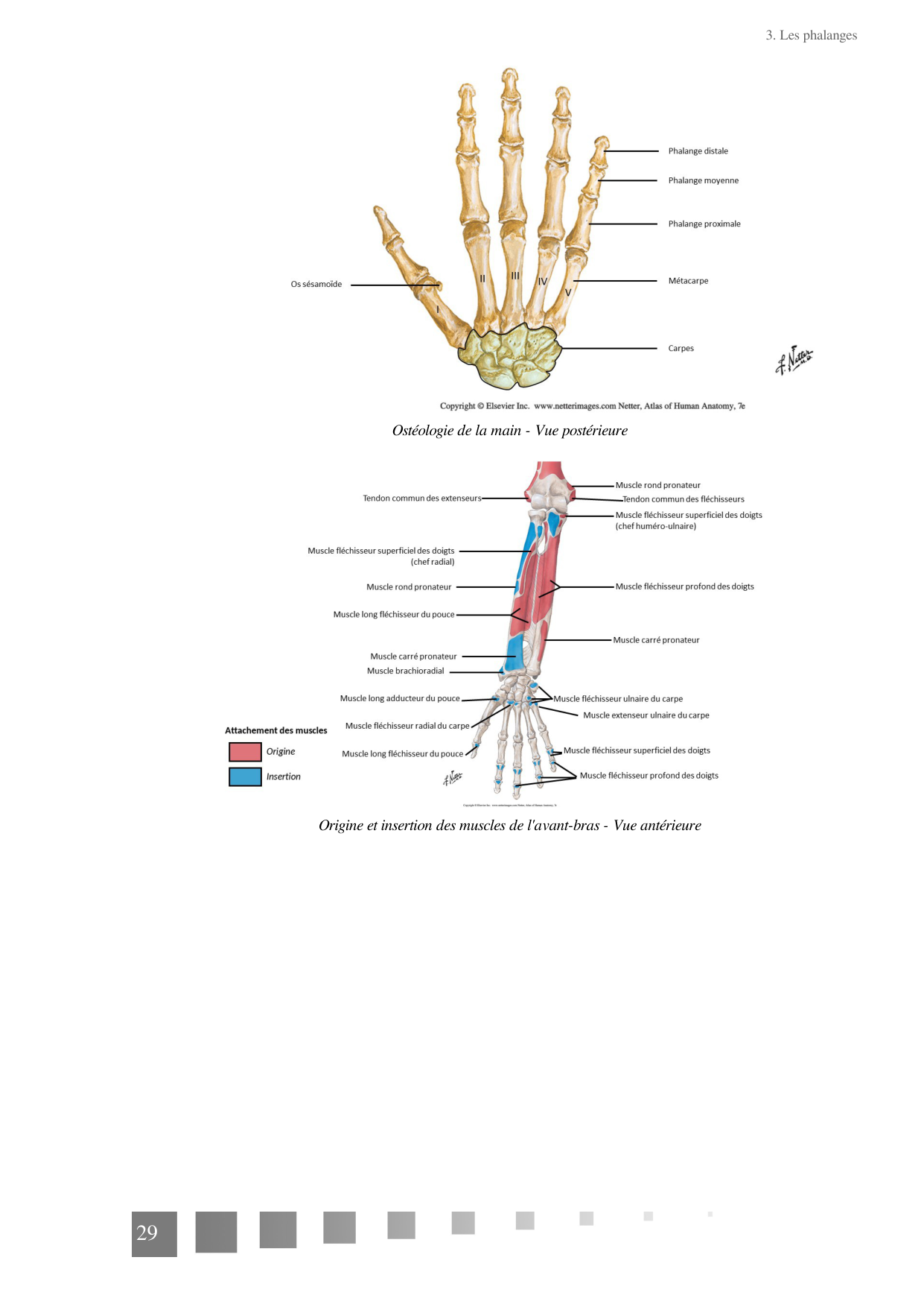 TP Membre Thoracique 2022 page 29