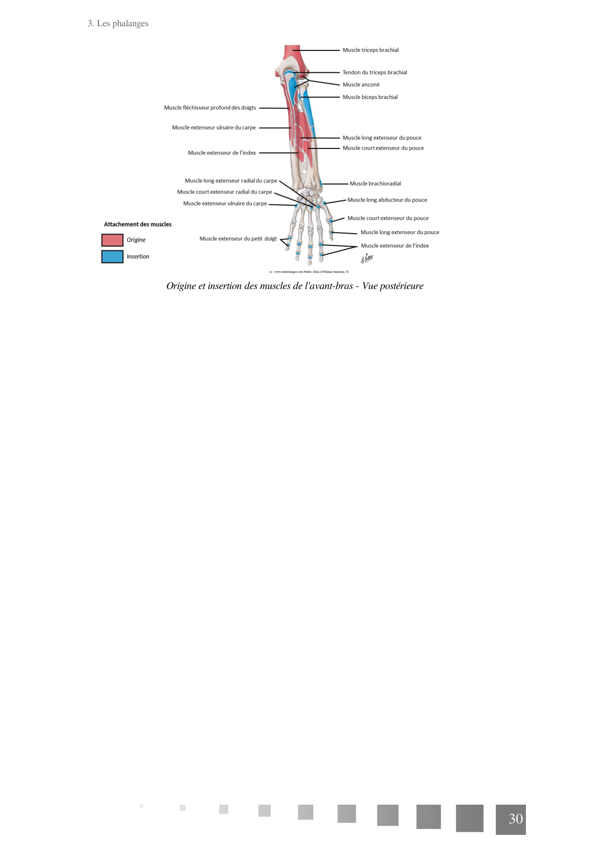 TP Membre Thoracique 2022 page 30