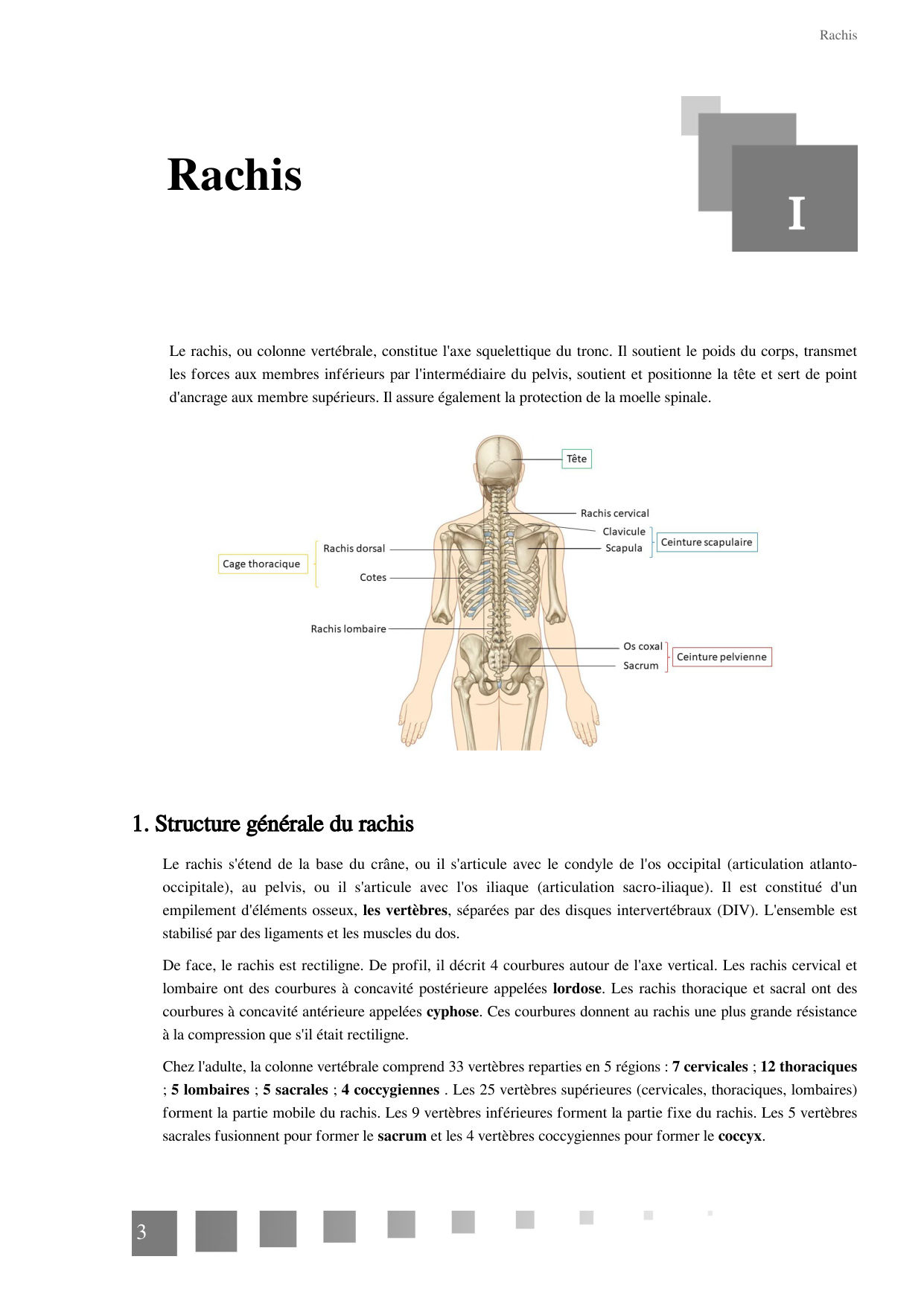 TP Squelette Axial 2025 papier page 3