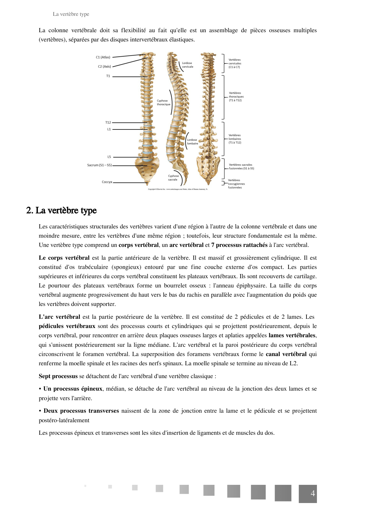 TP Squelette Axial 2025 papier page 4