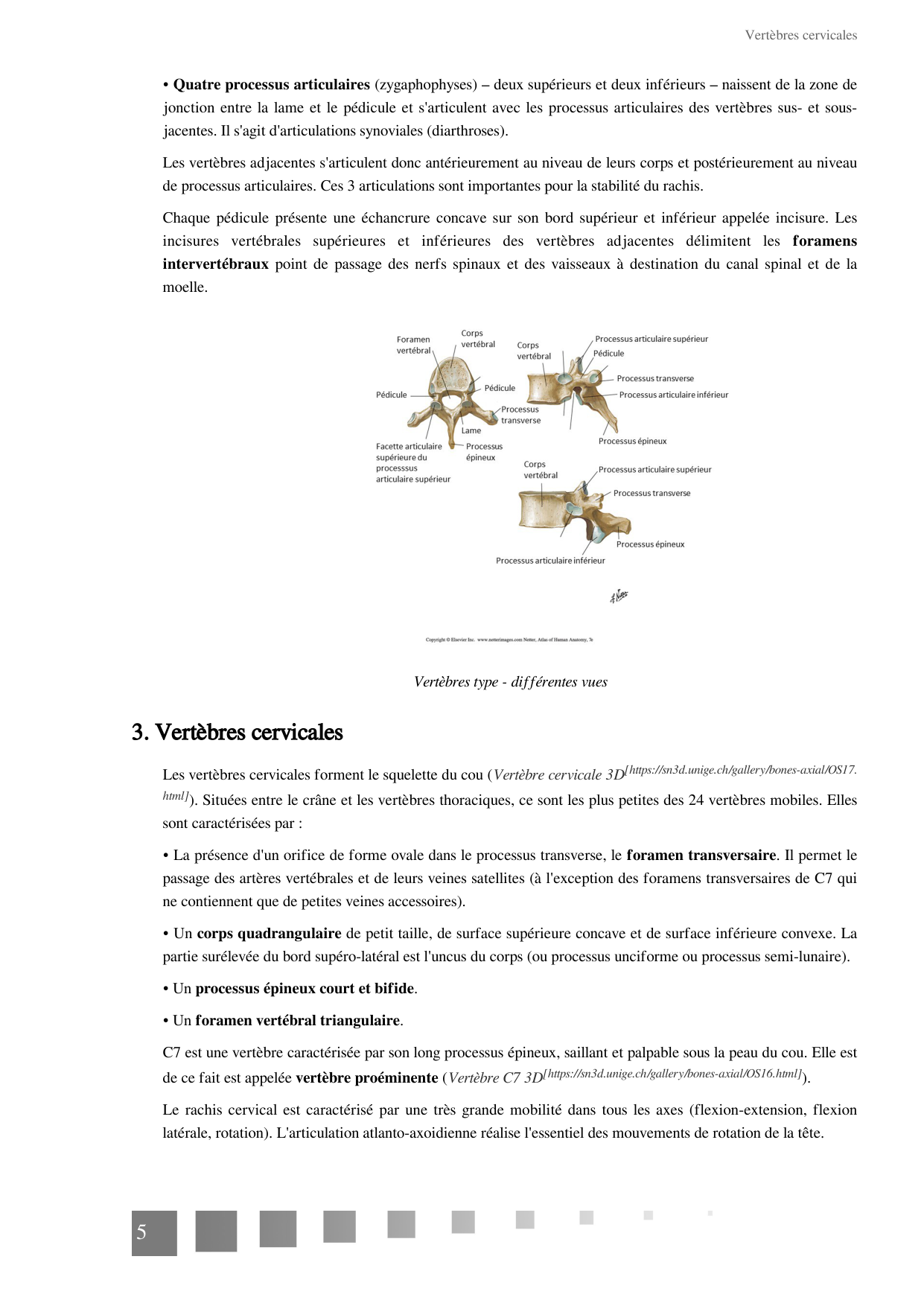 TP Squelette Axial 2025 papier page 5