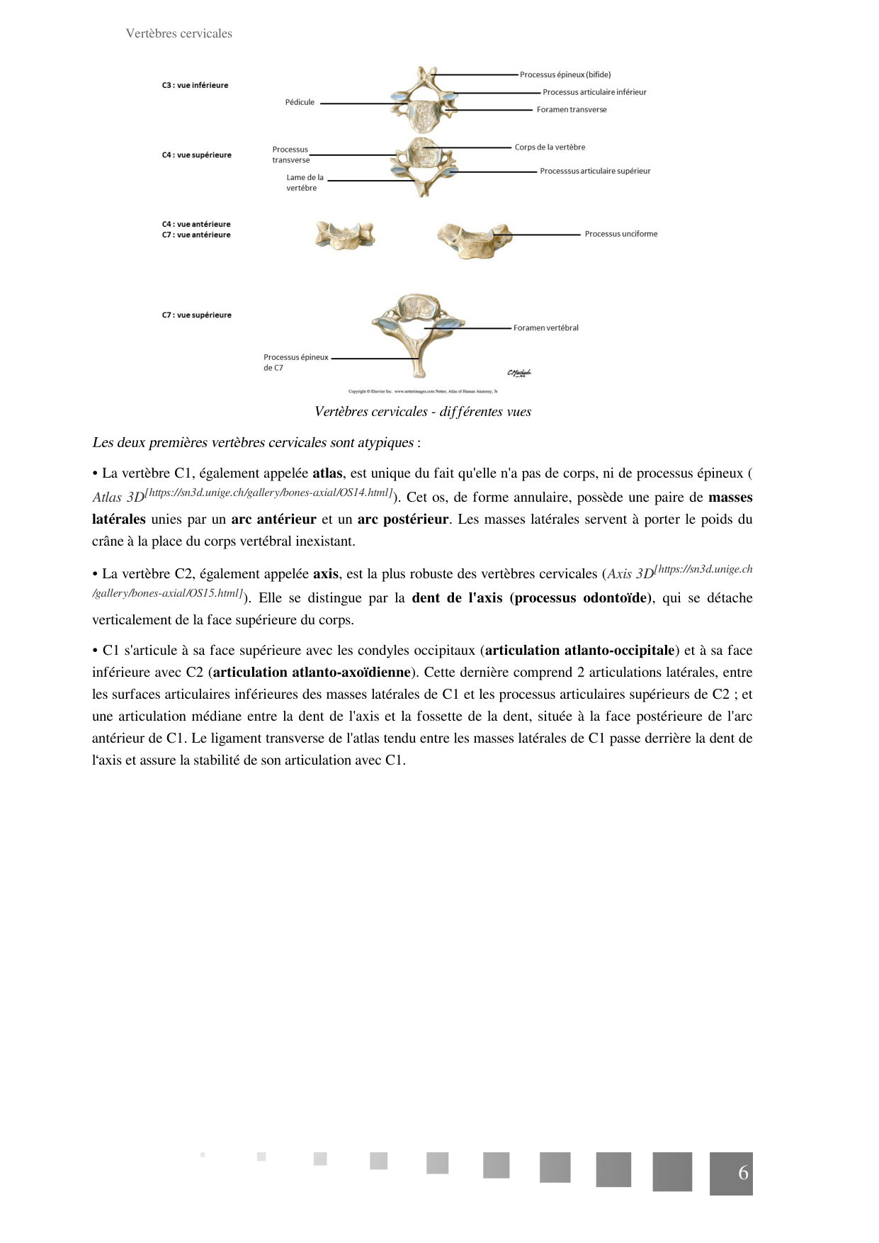 TP Squelette Axial 2025 papier page 6