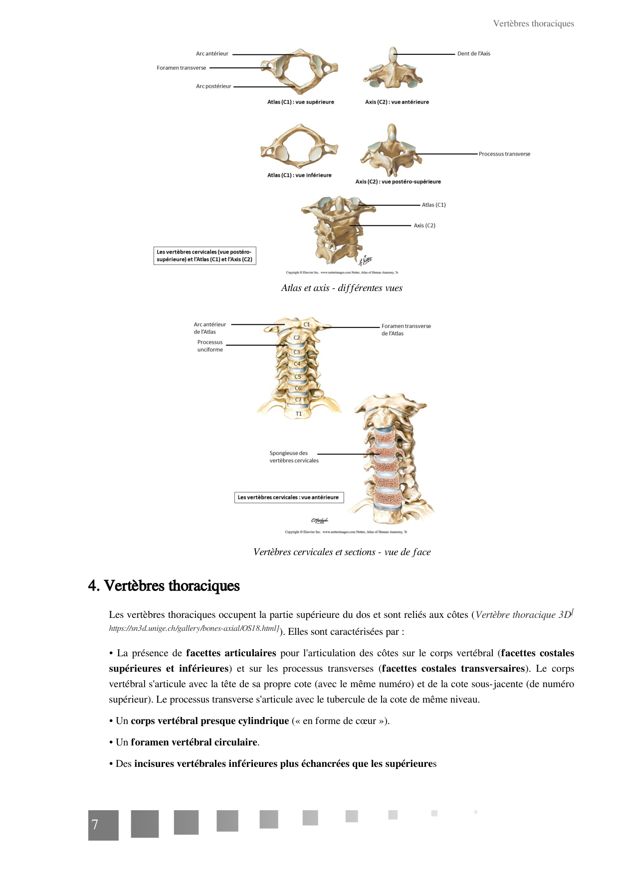 TP Squelette Axial 2025 papier page 7