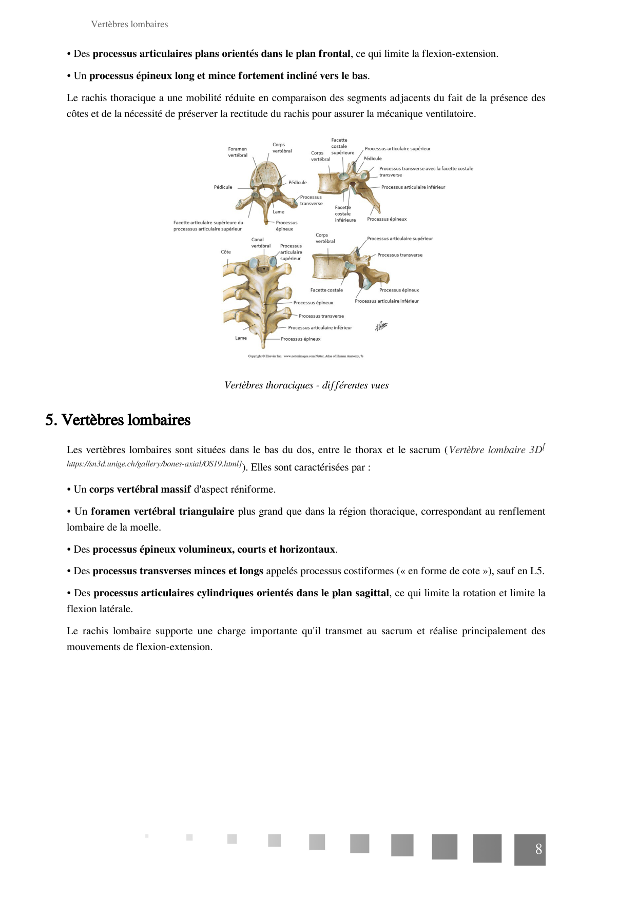 TP Squelette Axial 2025 papier page 8