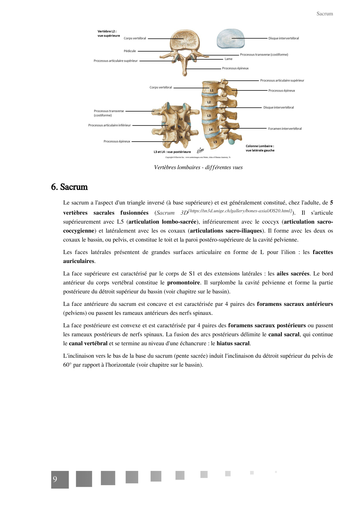 TP Squelette Axial 2025 papier page 9