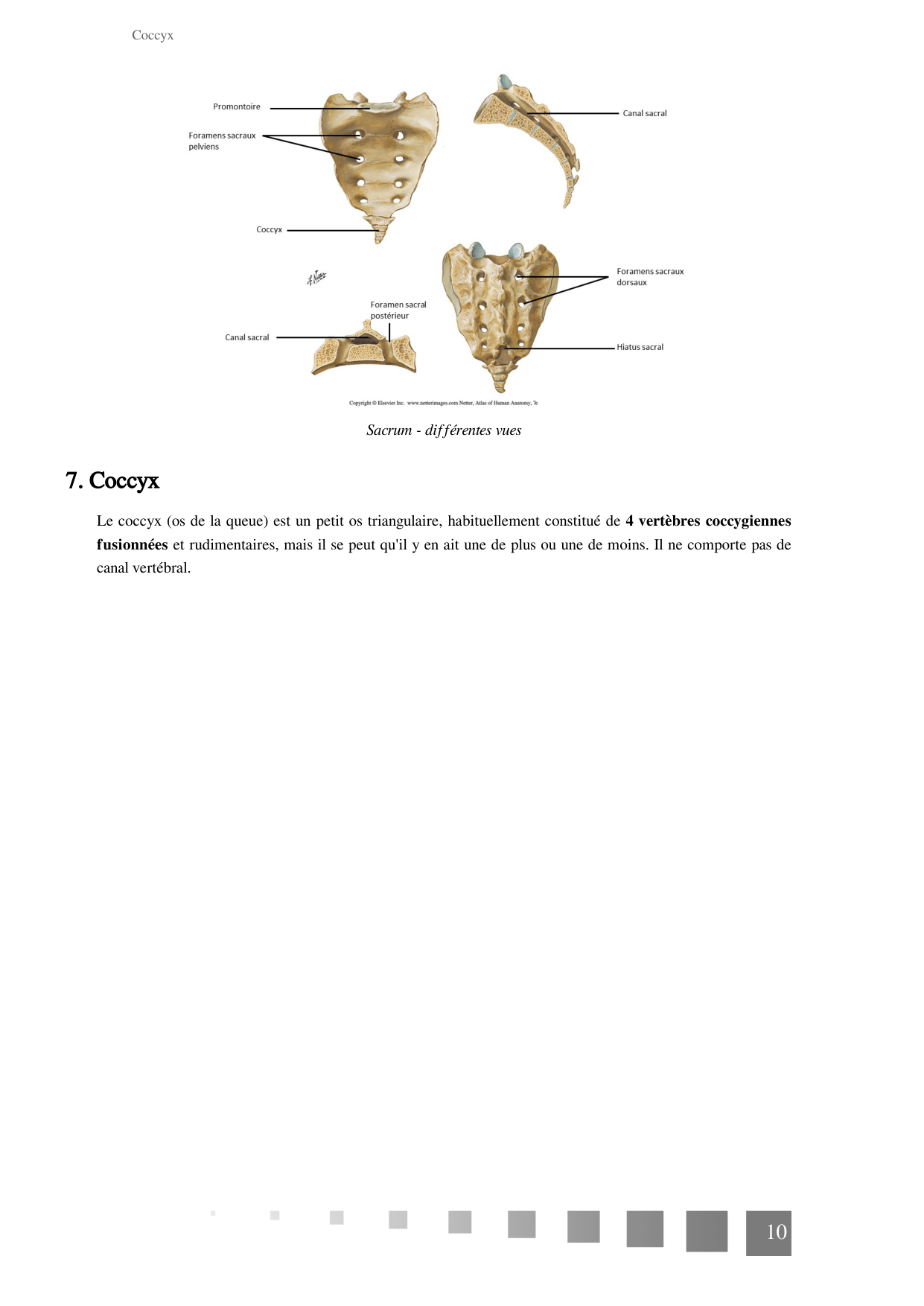 TP Squelette Axial 2025 papier page 10