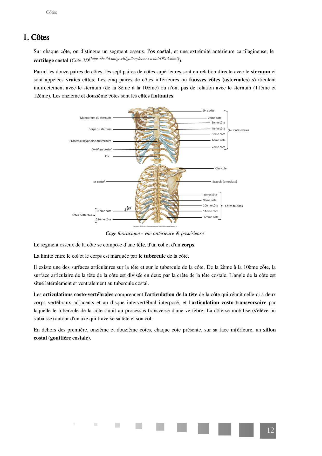 TP Squelette Axial 2025 papier page 12