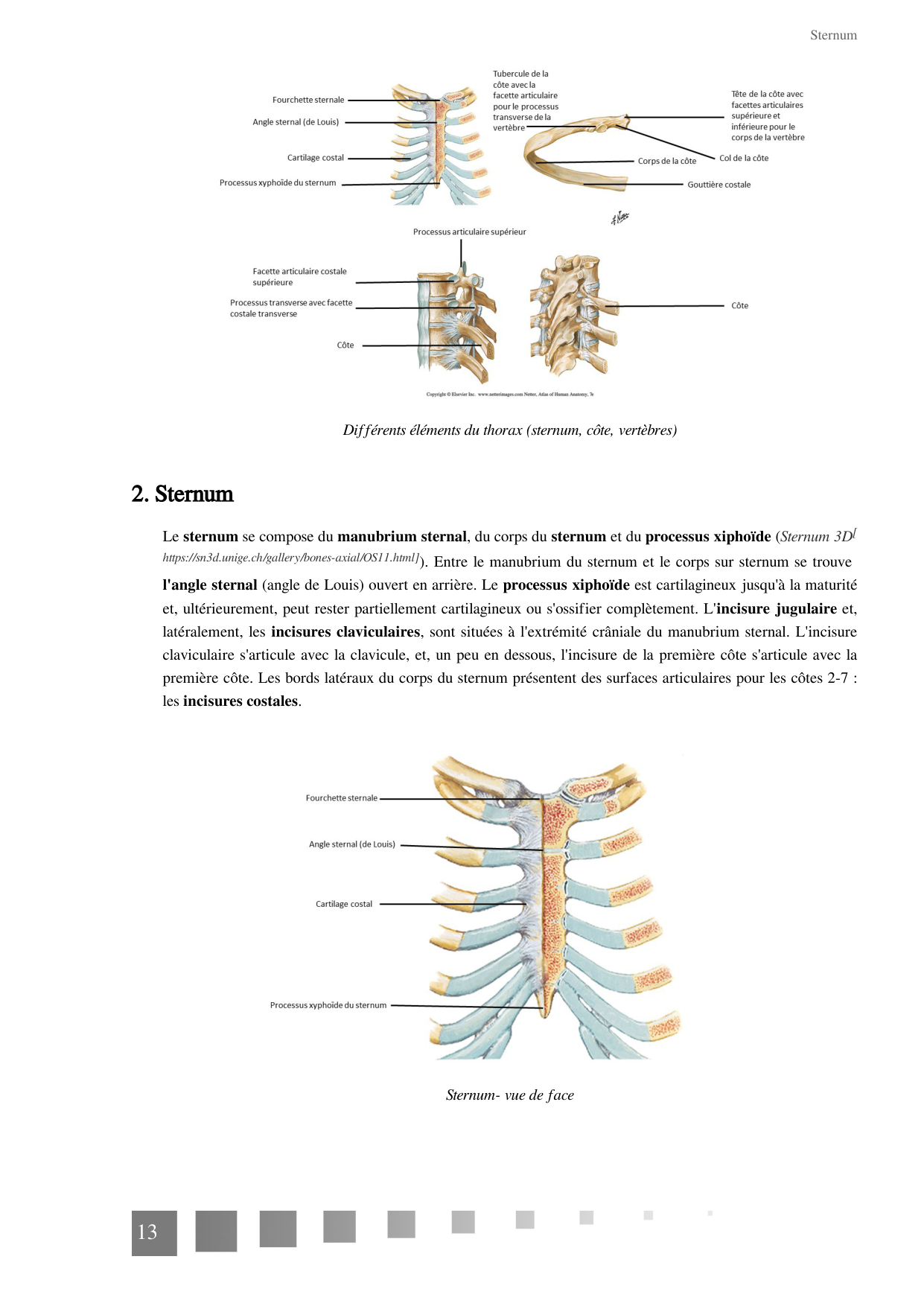 TP Squelette Axial 2025 papier page 13