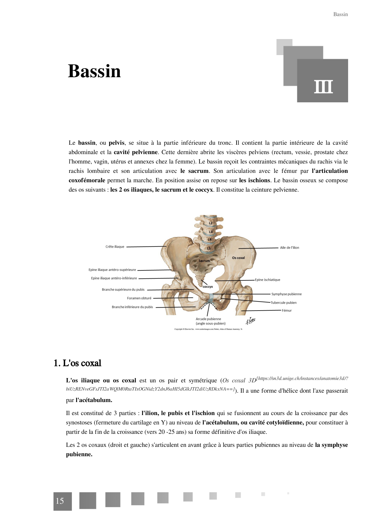 TP Squelette Axial 2025 papier page 15
