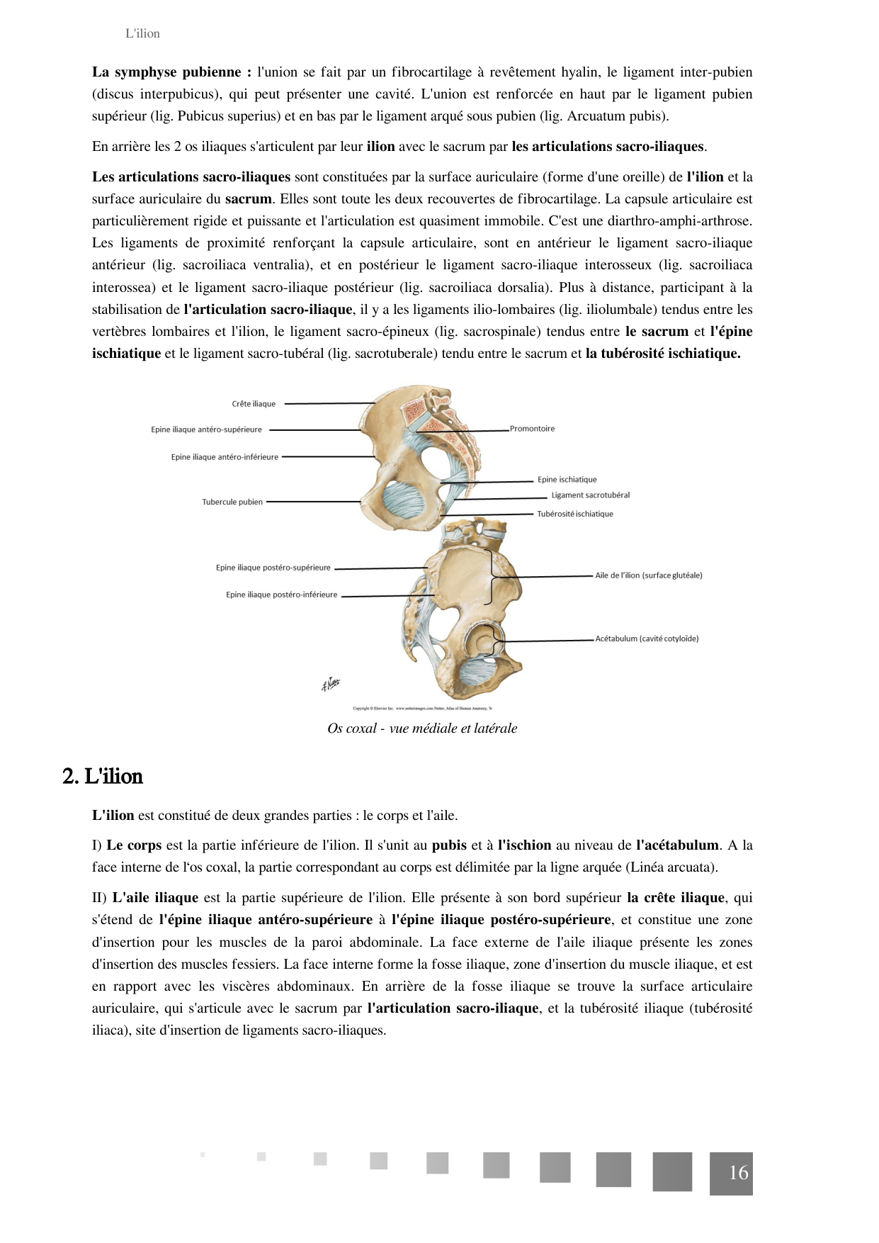 TP Squelette Axial 2025 papier page 16