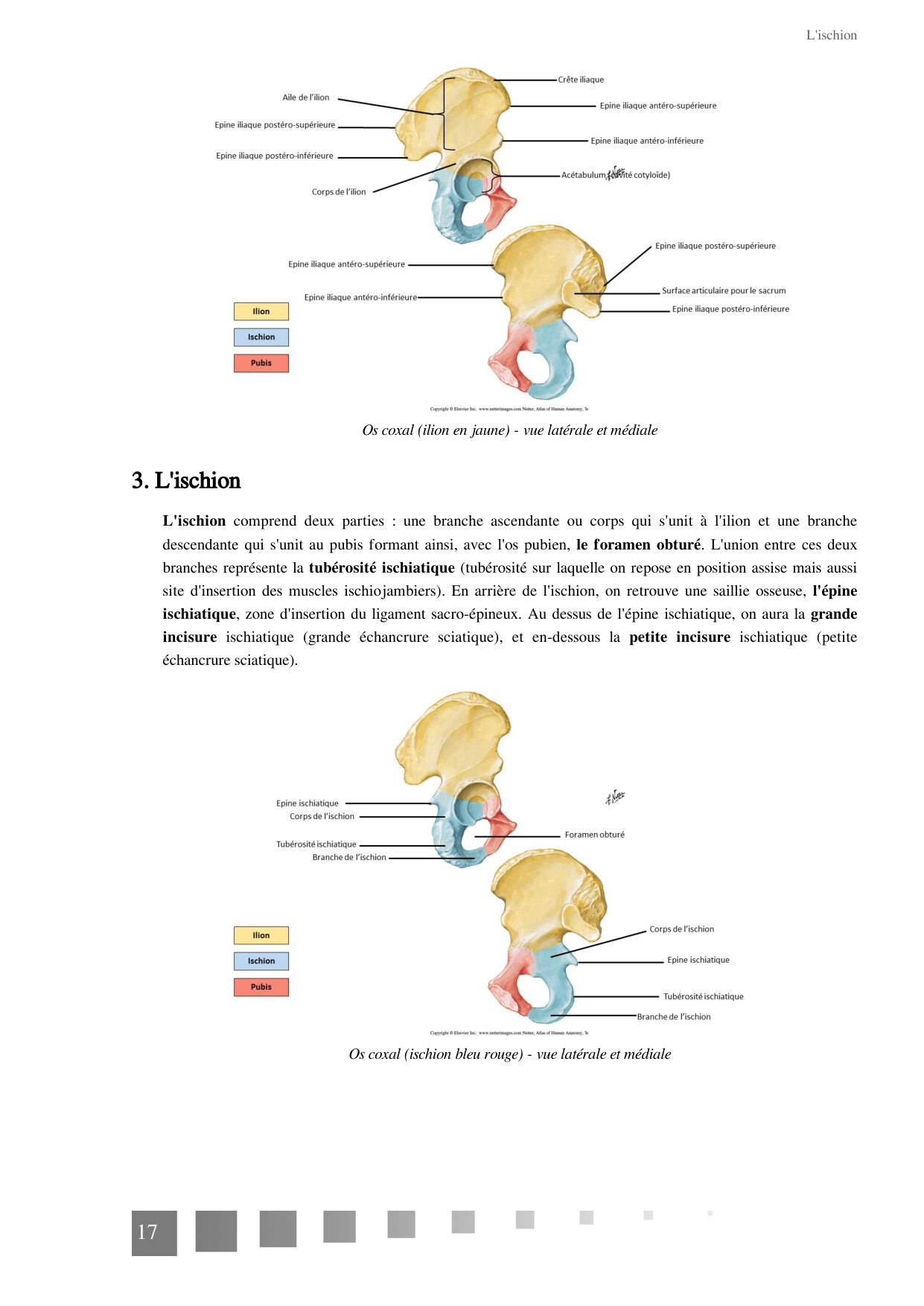 TP Squelette Axial 2025 papier page 17