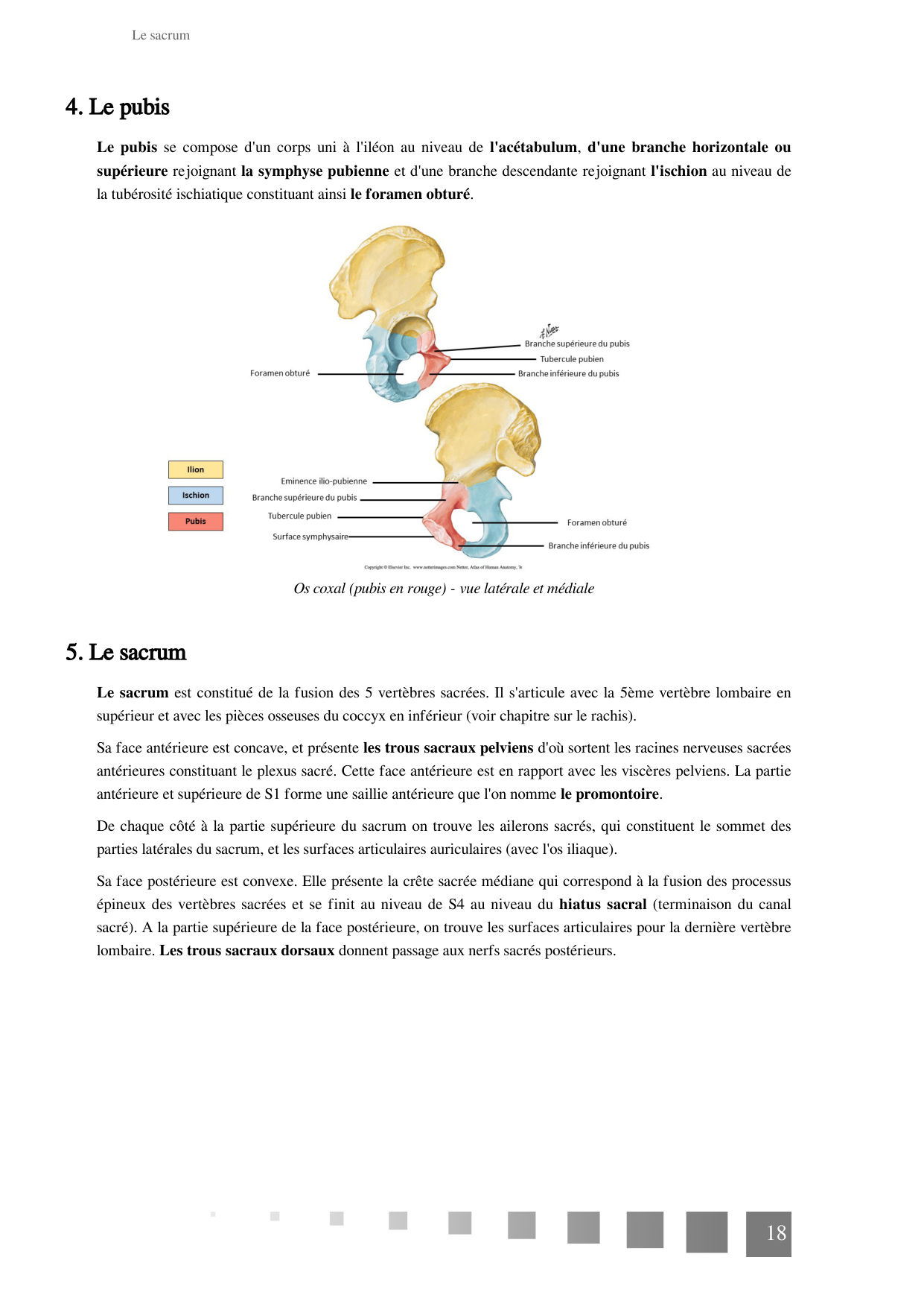 TP Squelette Axial 2025 papier page 18