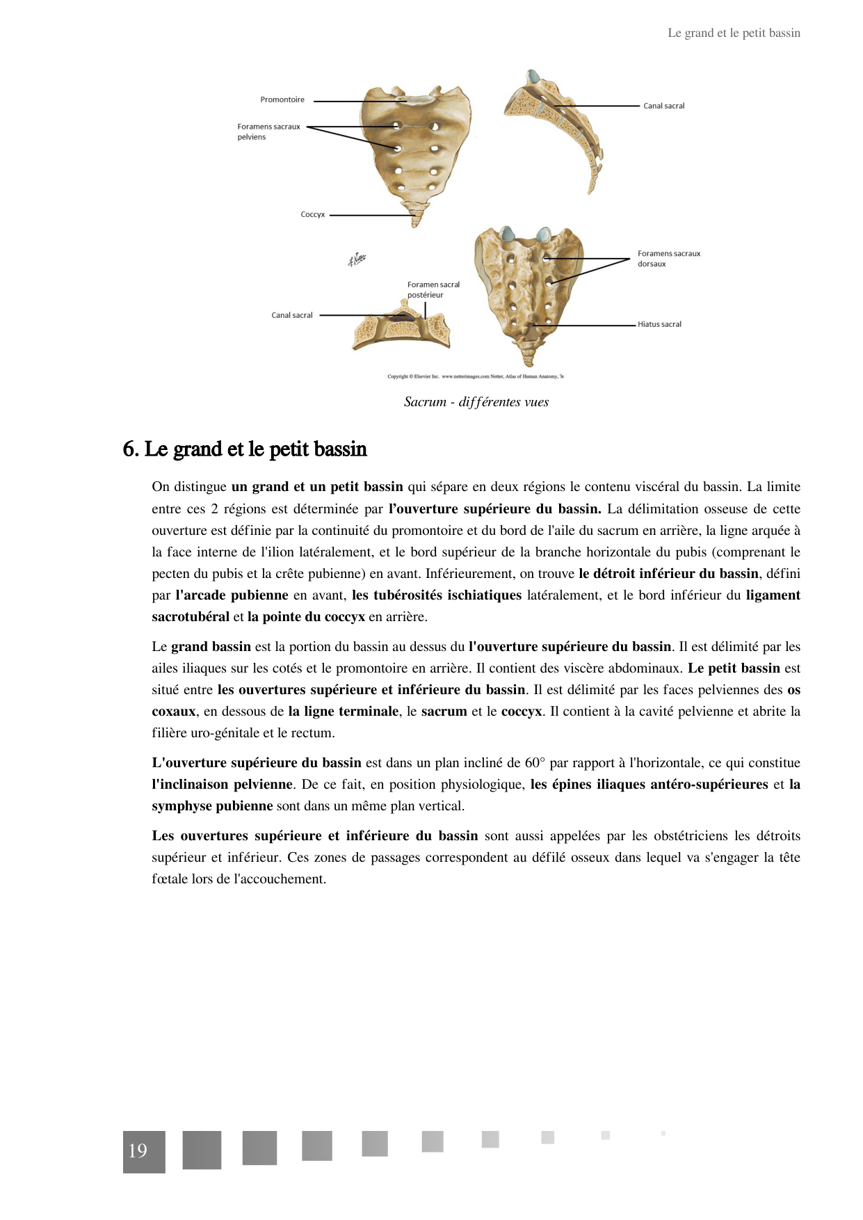 TP Squelette Axial 2025 papier page 19