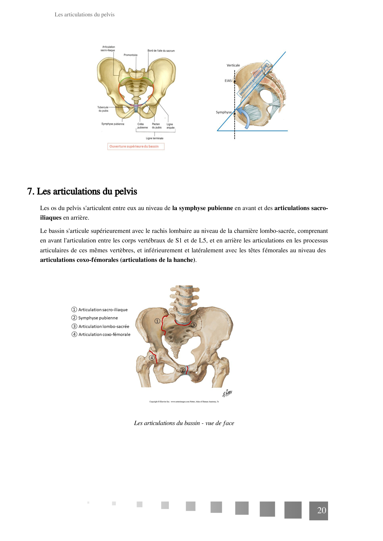 TP Squelette Axial 2025 papier page 20