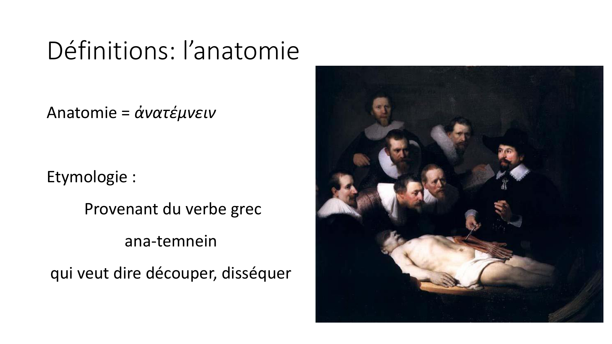 cours dintroduction anatomie 2025-26 page 7