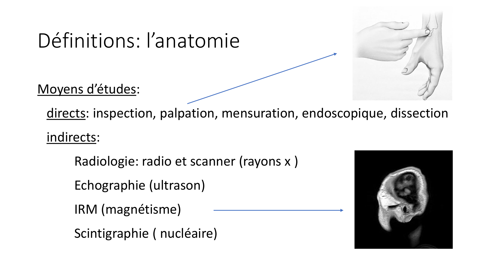 cours dintroduction anatomie 2025-26 page 10