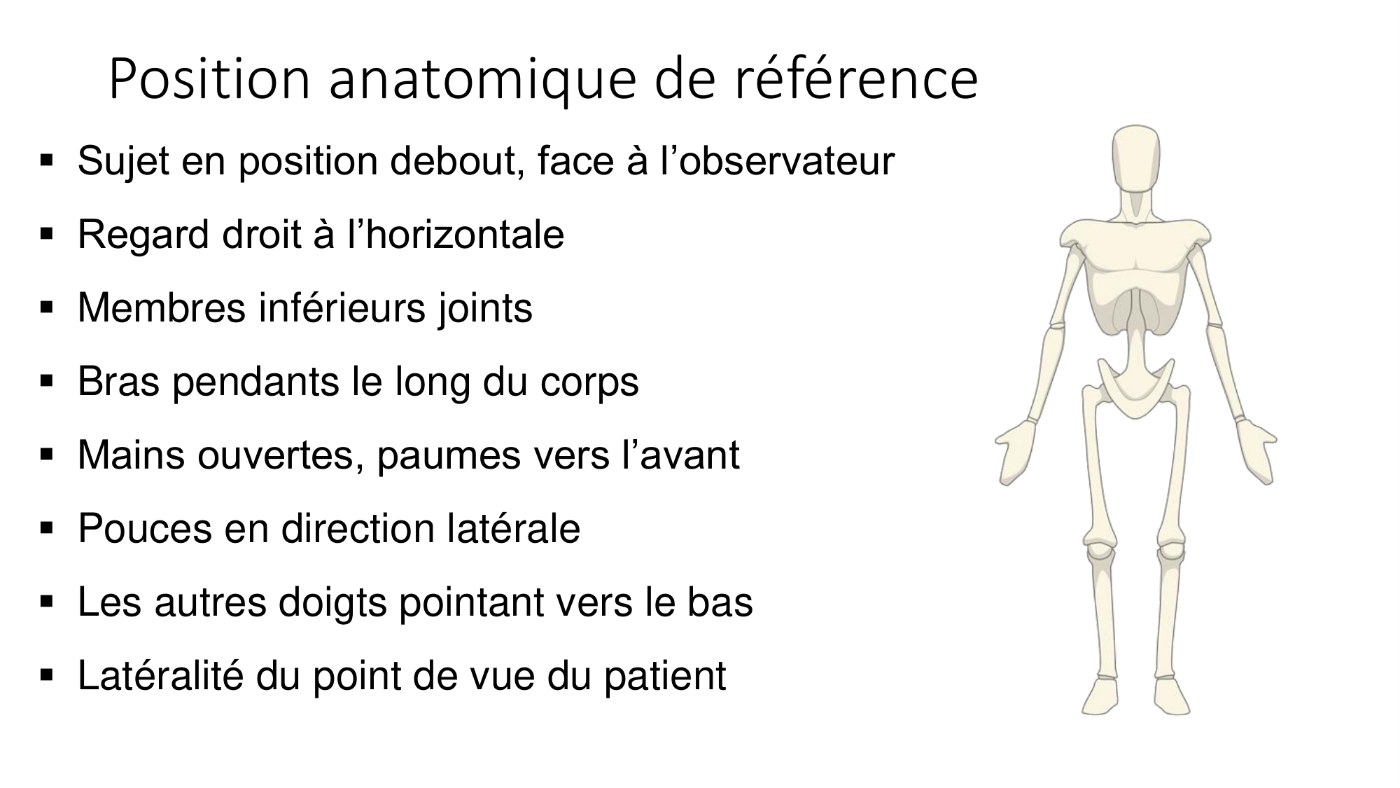 cours dintroduction anatomie 2025-26 page 14