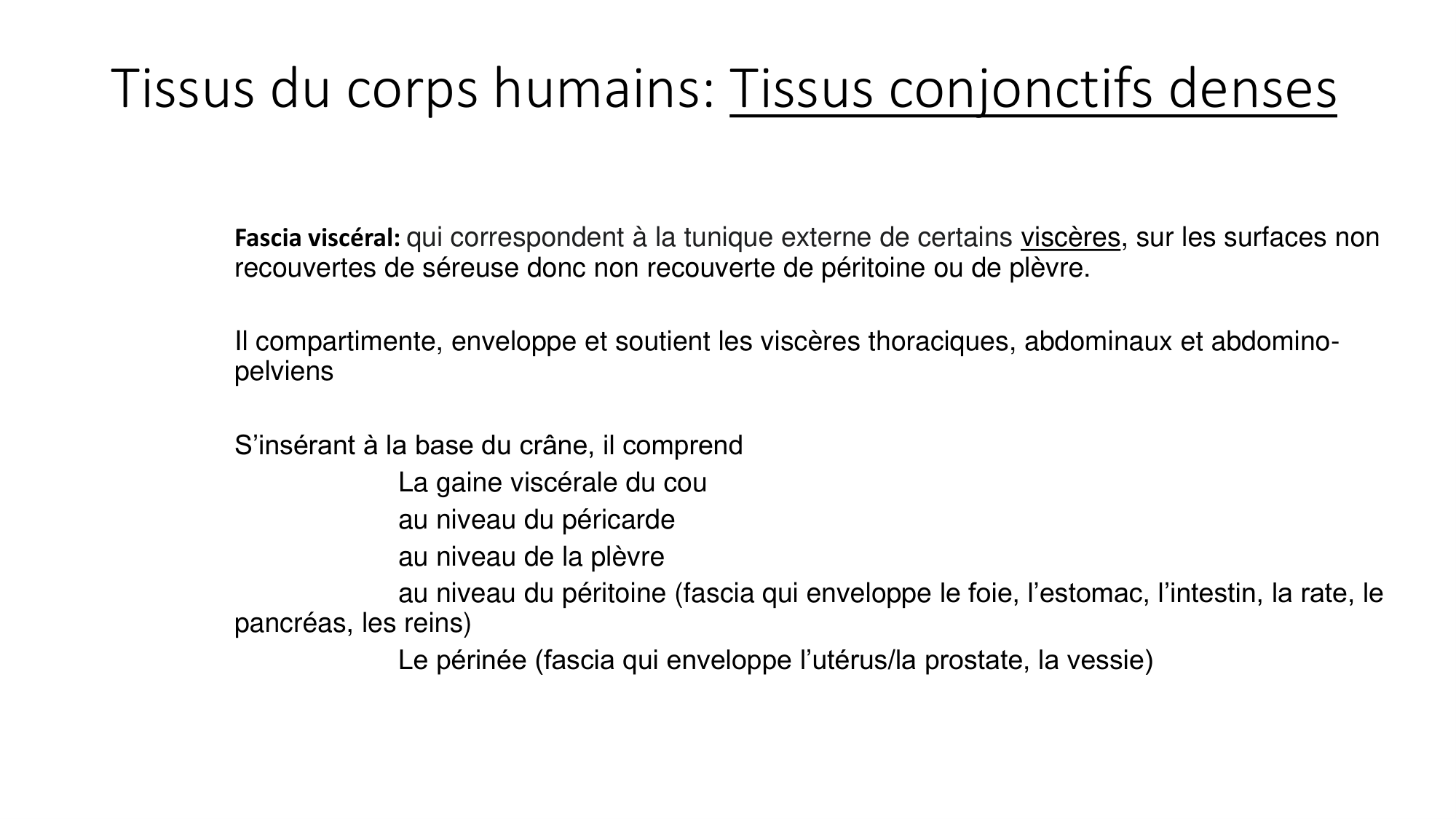cours dintroduction anatomie 2025-26 page 52