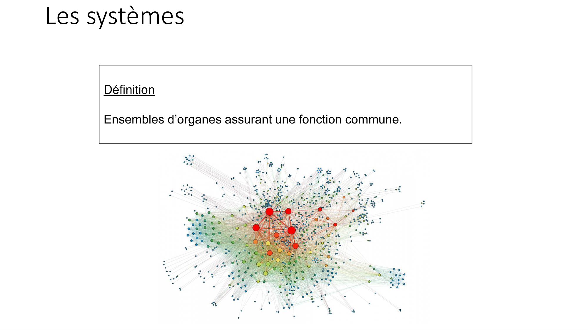 cours dintroduction anatomie 2025-26 page 64