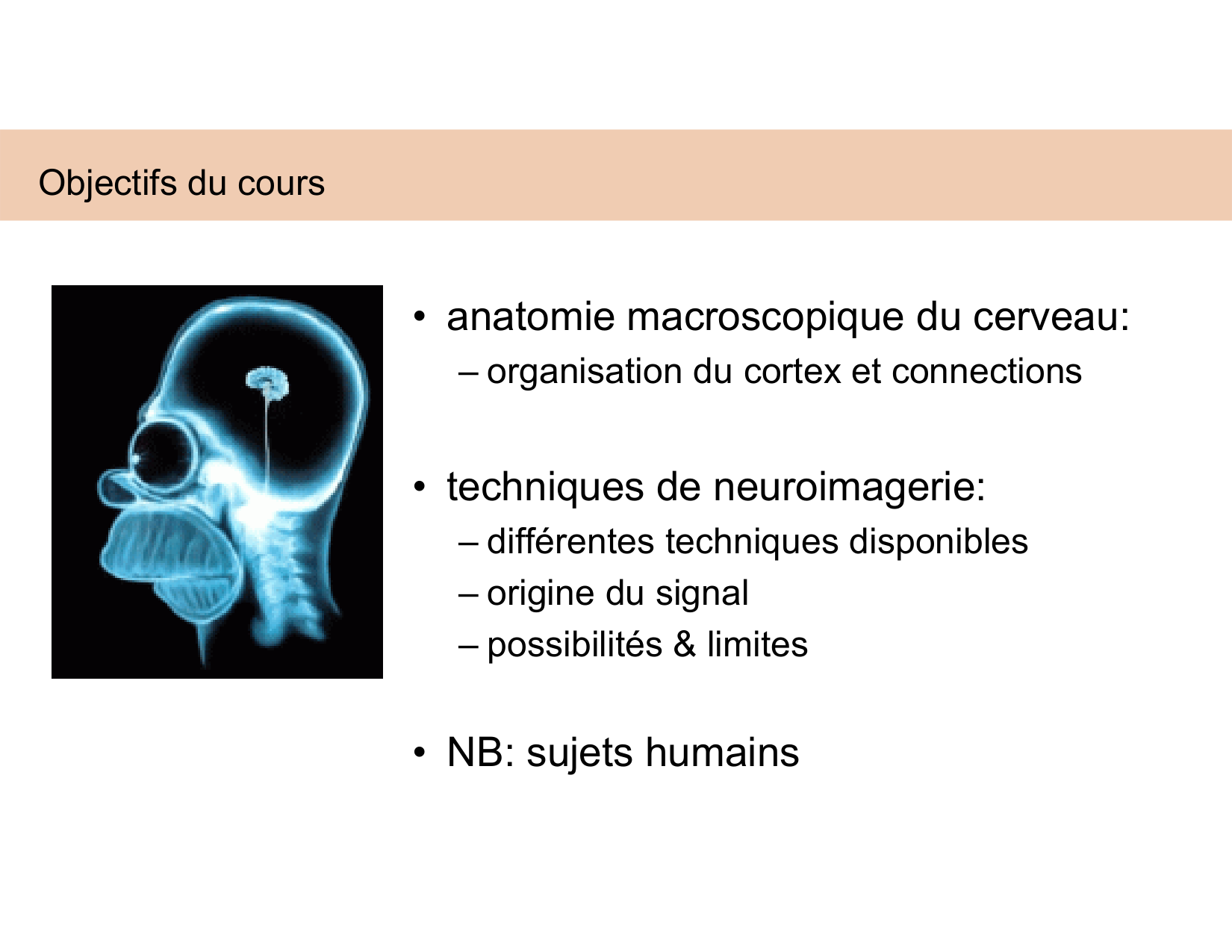 BA1 Techniques de Neuroimagerie page 3