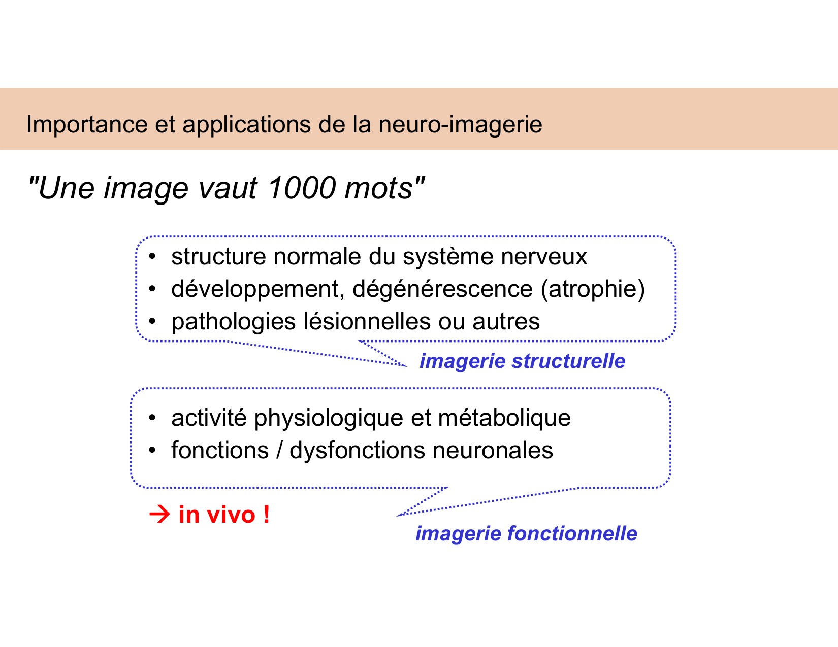 BA1 Techniques de Neuroimagerie page 13