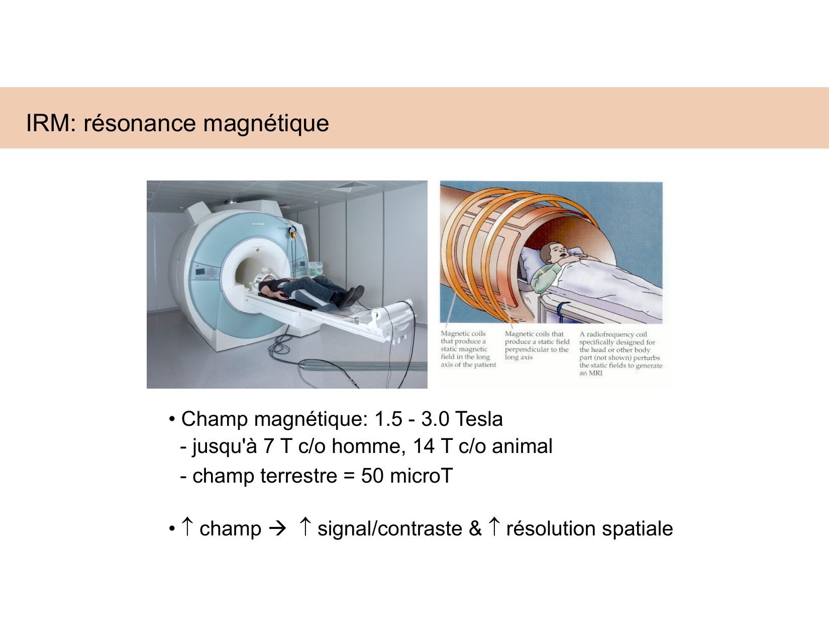 BA1 Techniques de Neuroimagerie page 24