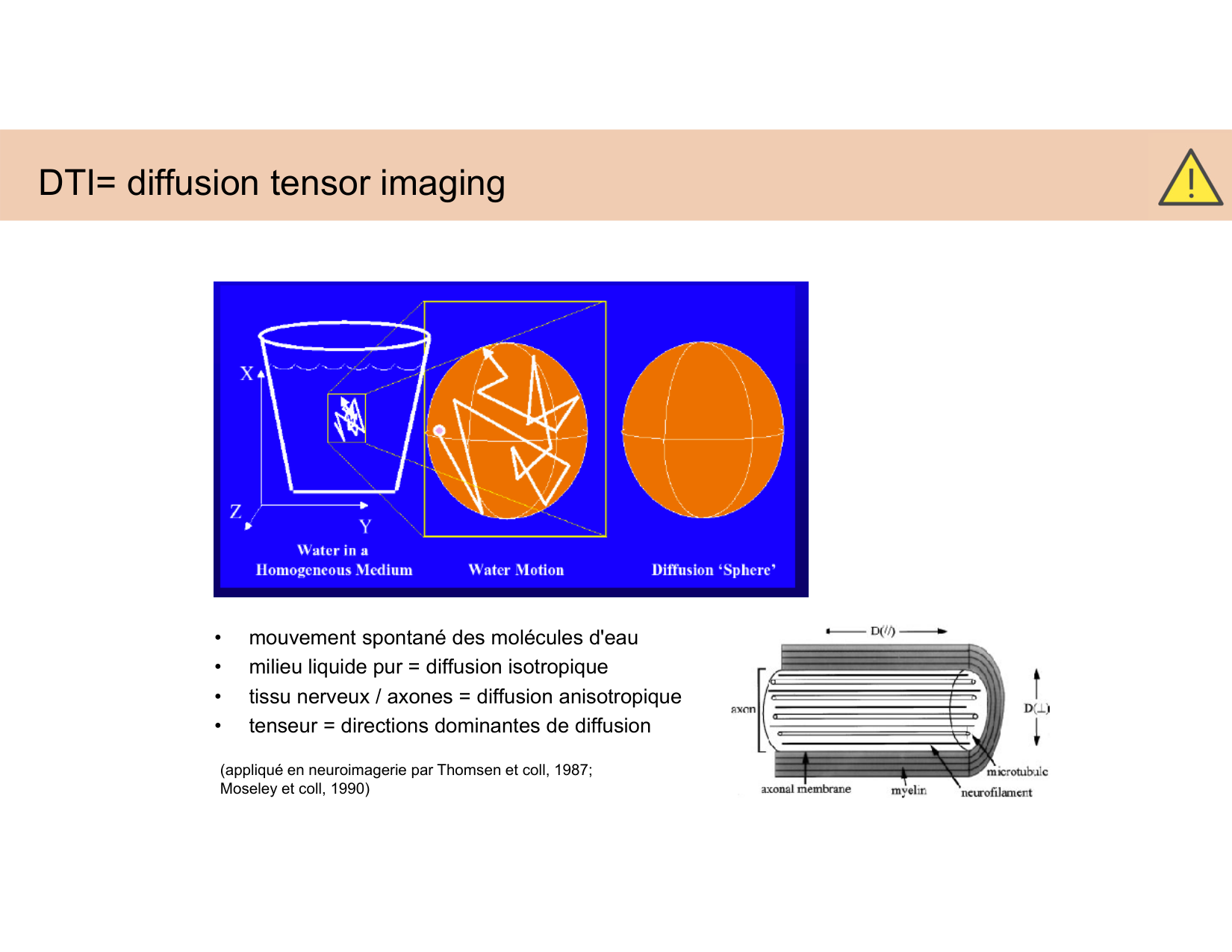 BA1 Techniques de Neuroimagerie page 33