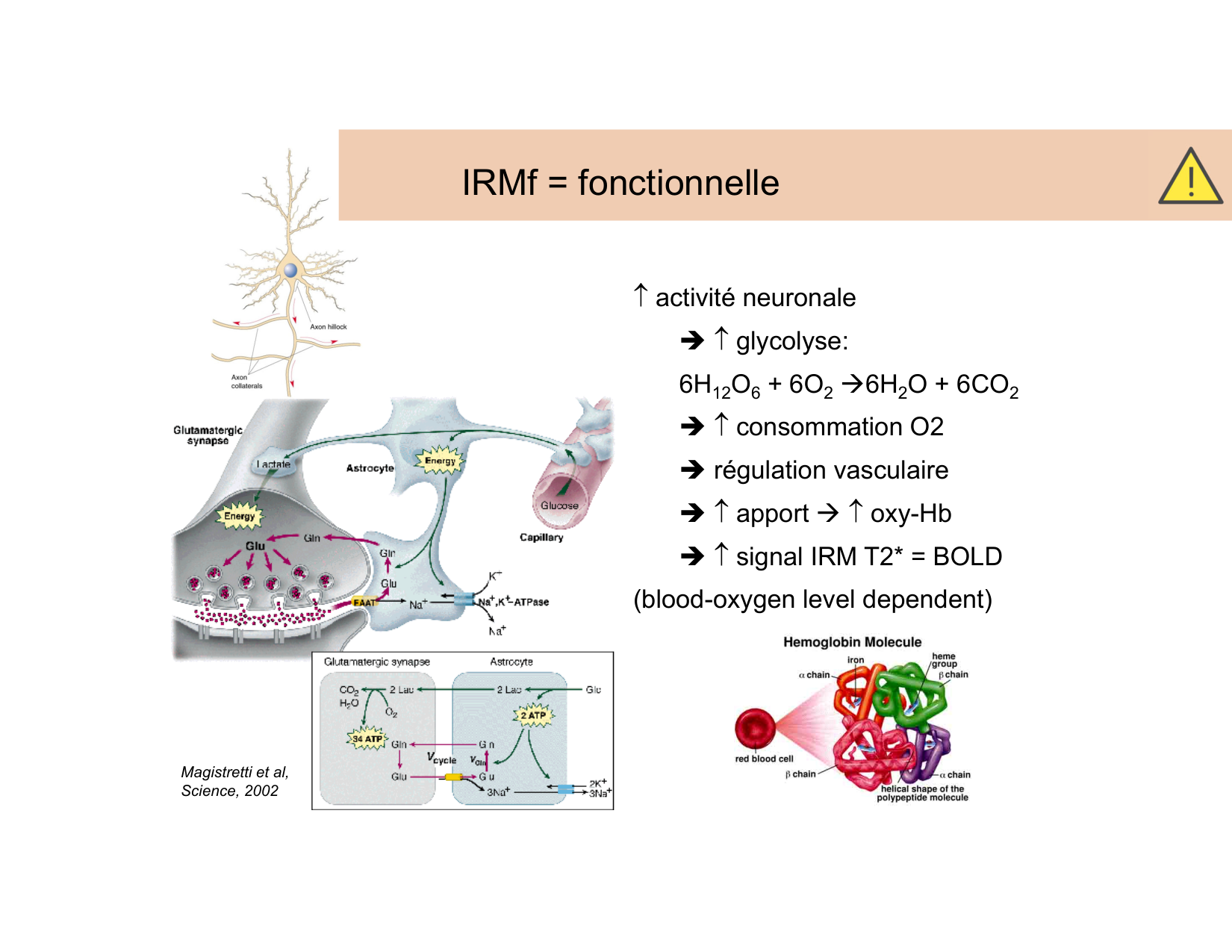 BA1 Techniques de Neuroimagerie page 39