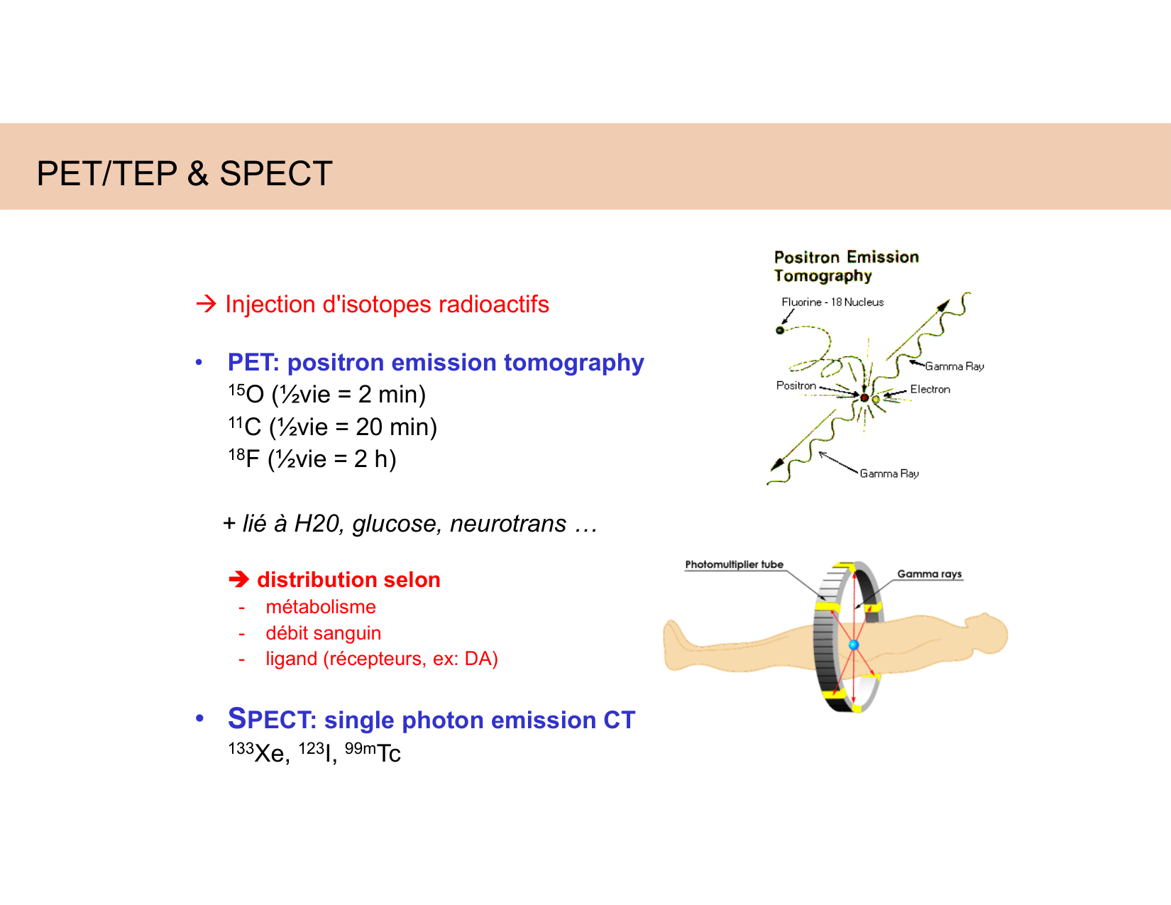 BA1 Techniques de Neuroimagerie page 48