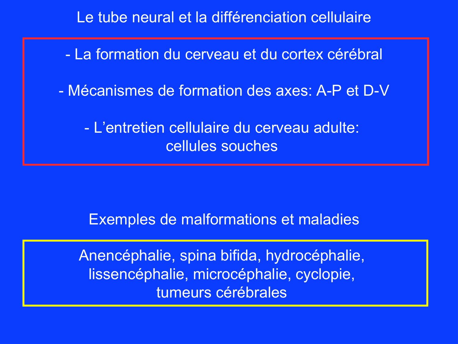 COURS 2025-2026 pdf 2024 2025 Développement du système nerveux- A. Ruiz i Altaba page 5