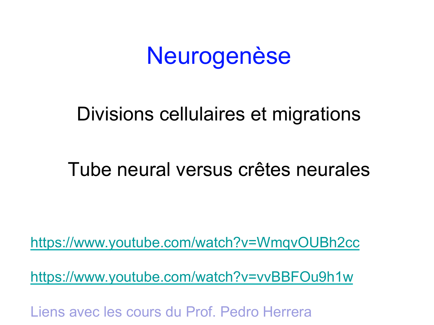 COURS 2025-2026 pdf 2024 2025 Développement du système nerveux- A. Ruiz i Altaba page 11