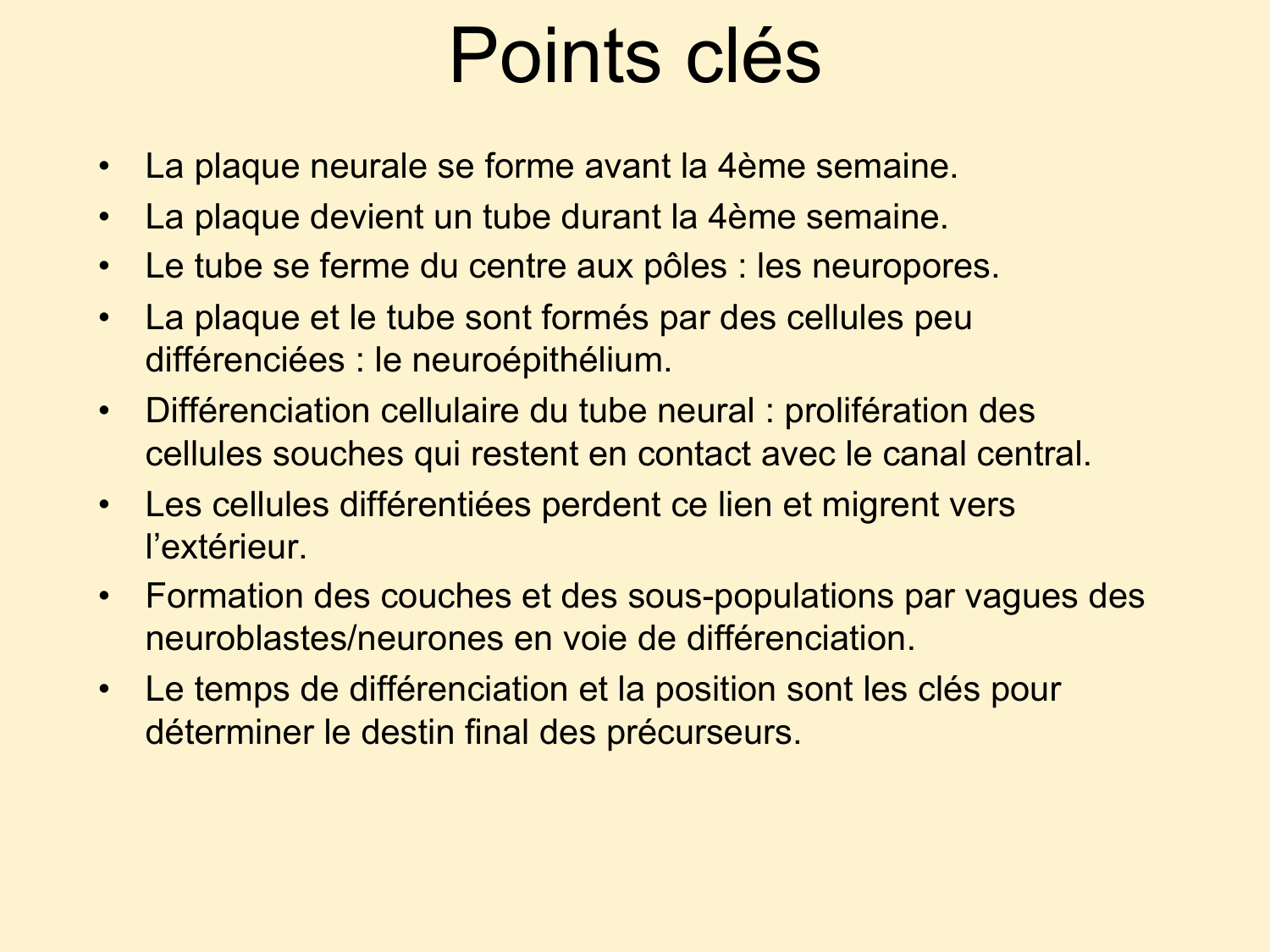COURS 2025-2026 pdf 2024 2025 Développement du système nerveux- A. Ruiz i Altaba page 14