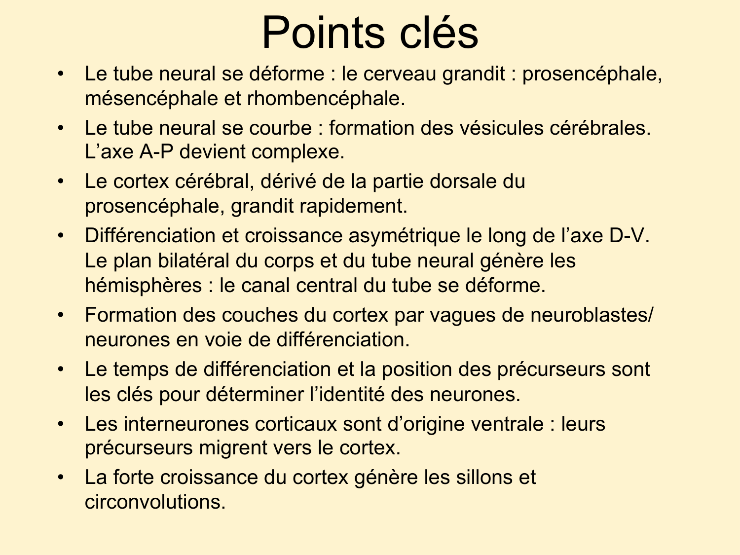 COURS 2025-2026 pdf 2024 2025 Développement du système nerveux- A. Ruiz i Altaba page 29
