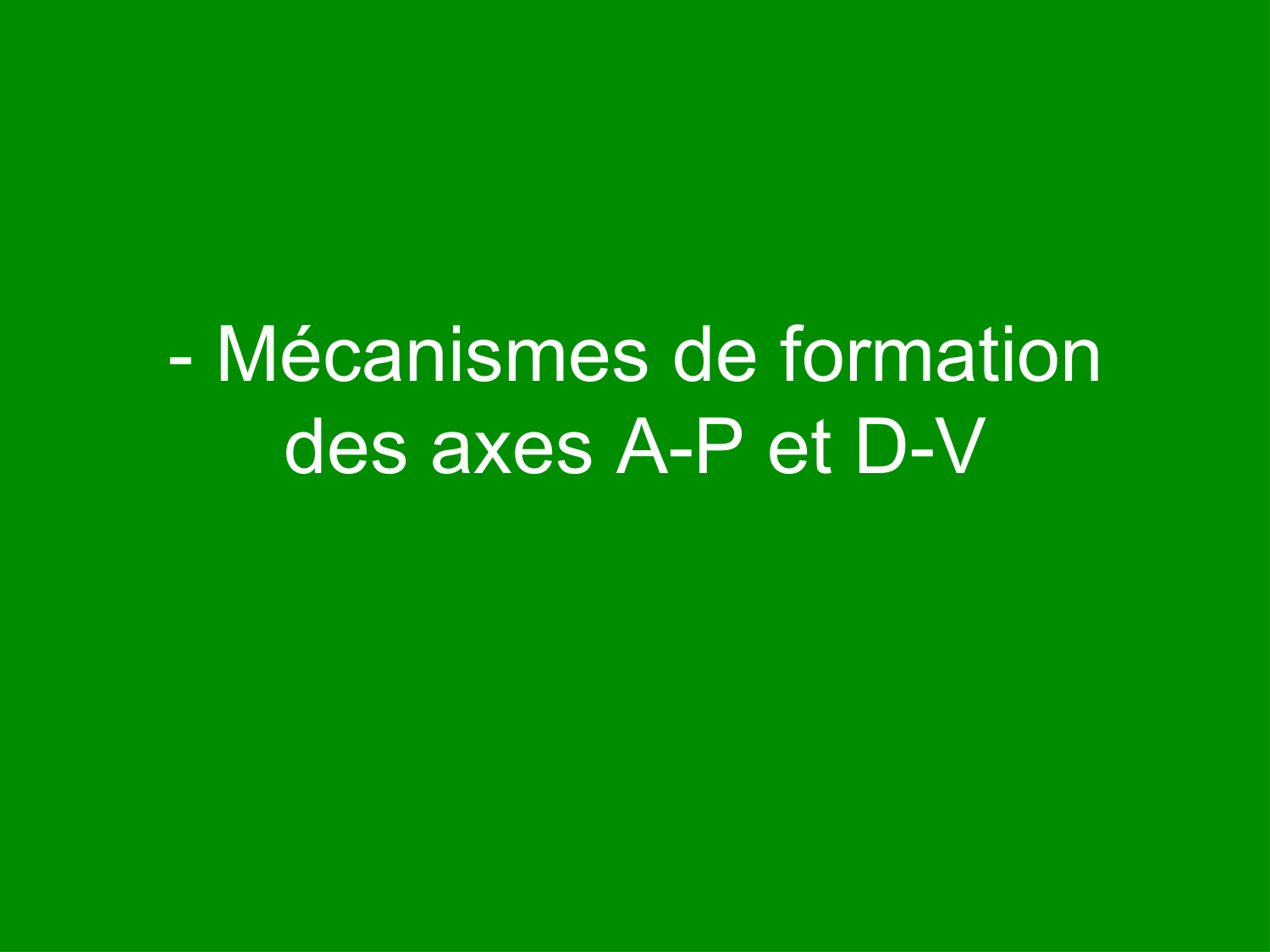 COURS 2025-2026 pdf 2024 2025 Développement du système nerveux- A. Ruiz i Altaba page 30