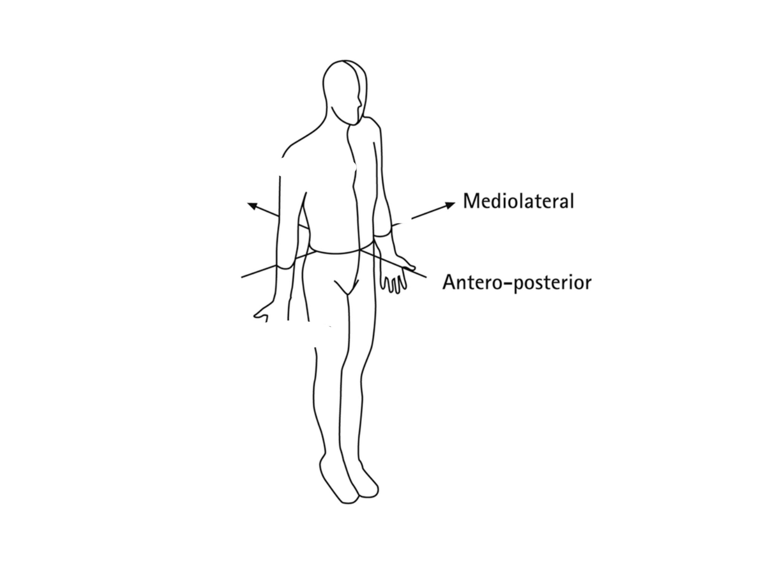 COURS 2025-2026 pdf 2024 2025 Développement du système nerveux- A. Ruiz i Altaba page 31