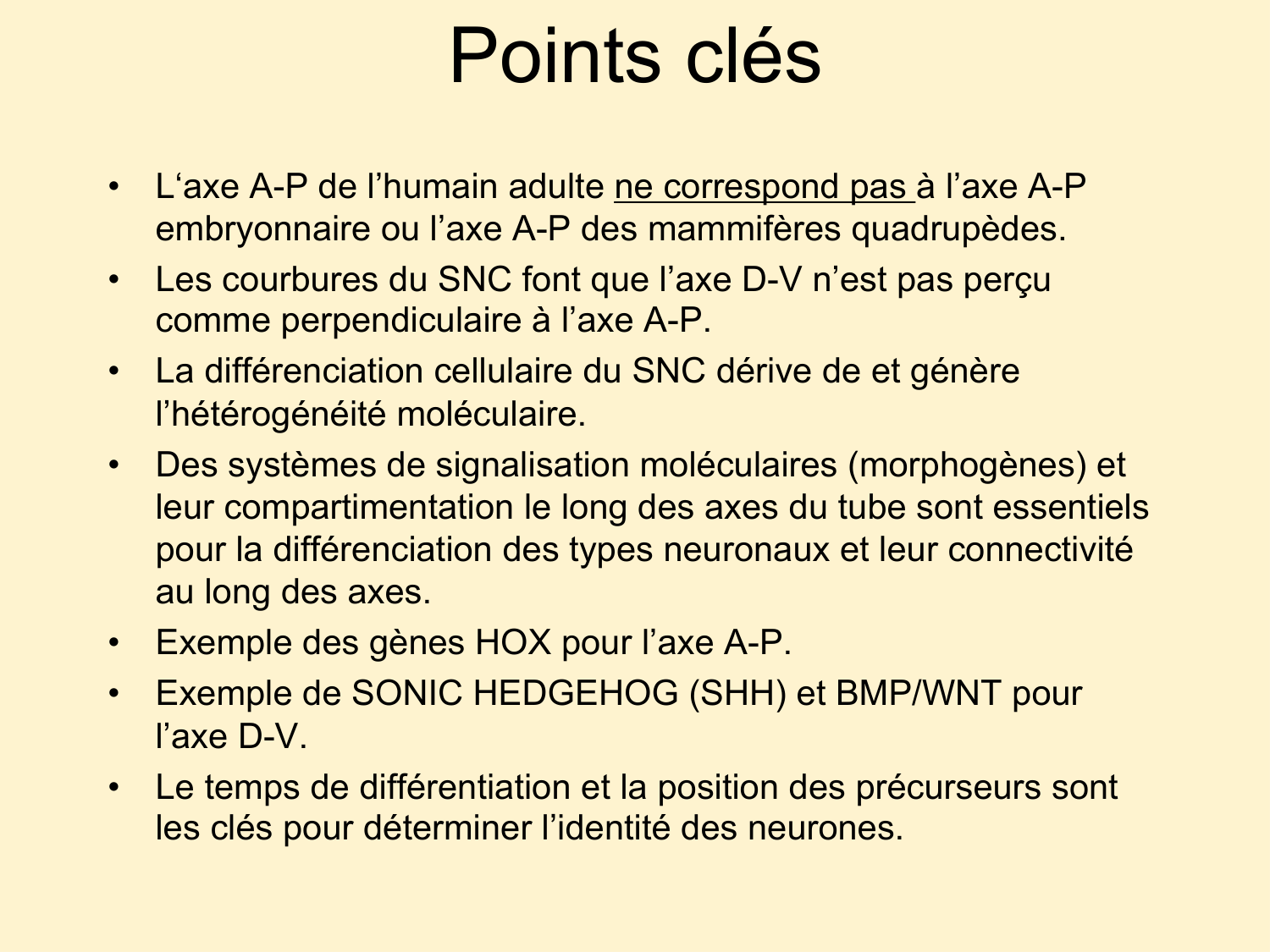 COURS 2025-2026 pdf 2024 2025 Développement du système nerveux- A. Ruiz i Altaba page 40