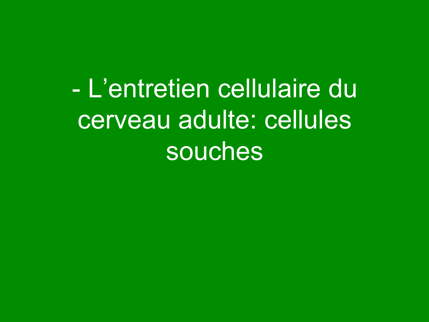 COURS 2025-2026 pdf 2024 2025 Développement du système nerveux- A. Ruiz i Altaba page 42