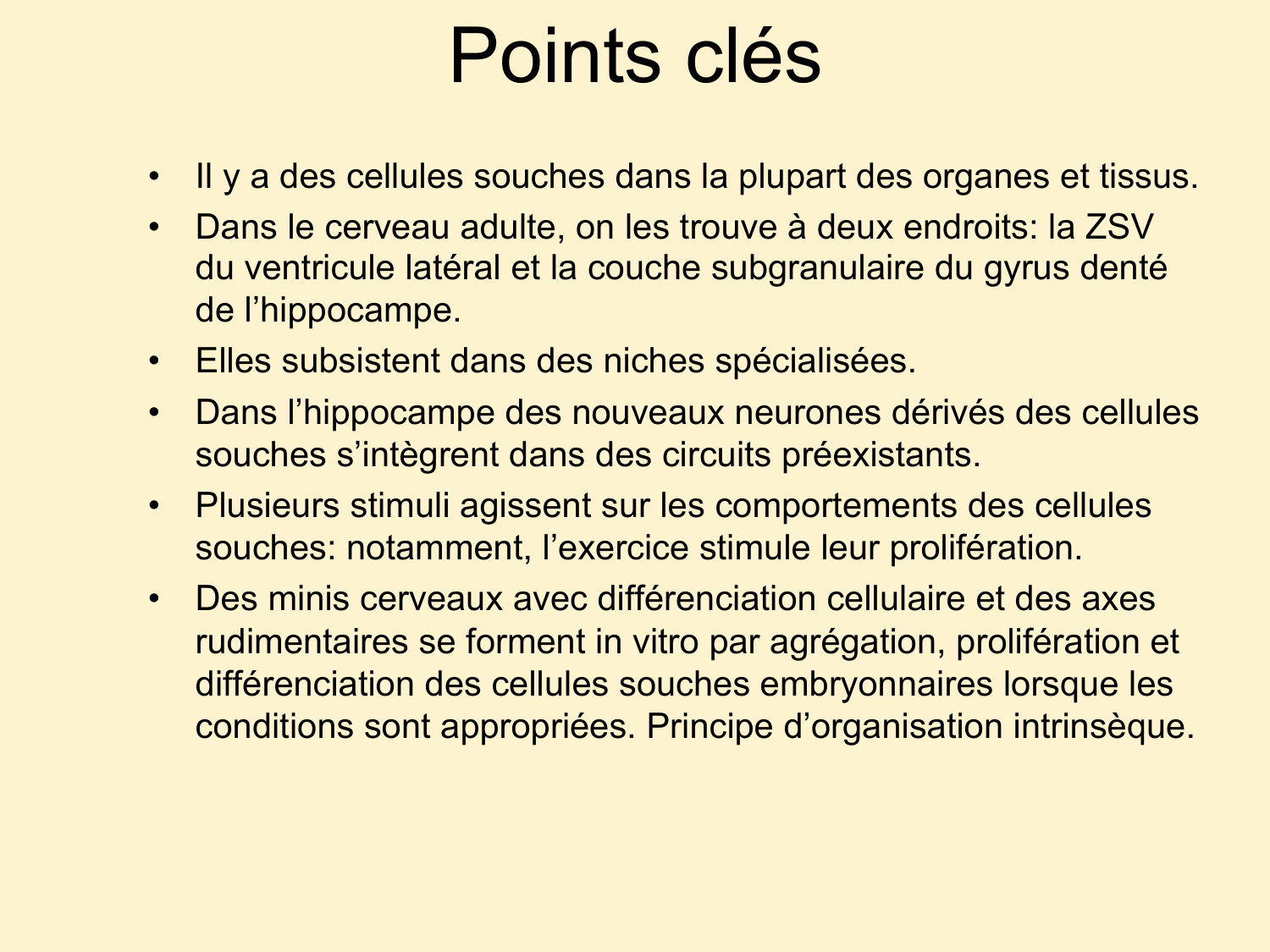 COURS 2025-2026 pdf 2024 2025 Développement du système nerveux- A. Ruiz i Altaba page 51