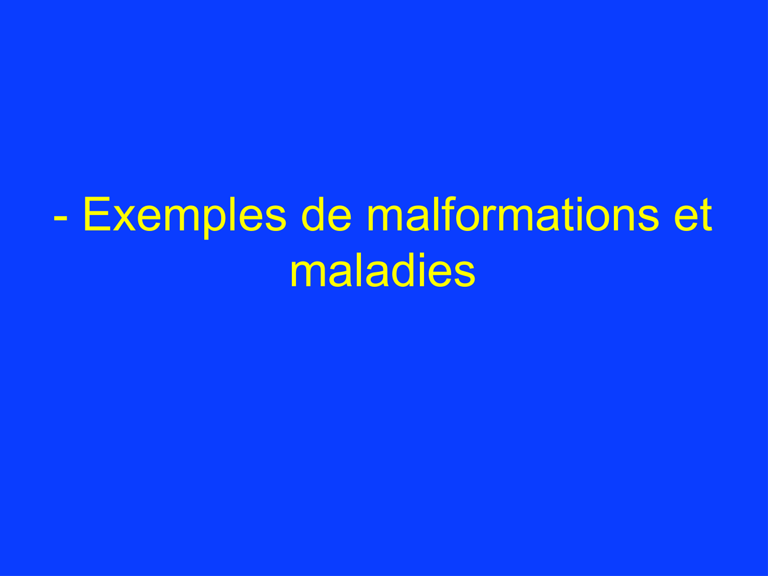 COURS 2025-2026 pdf 2024 2025 Développement du système nerveux- A. Ruiz i Altaba page 52