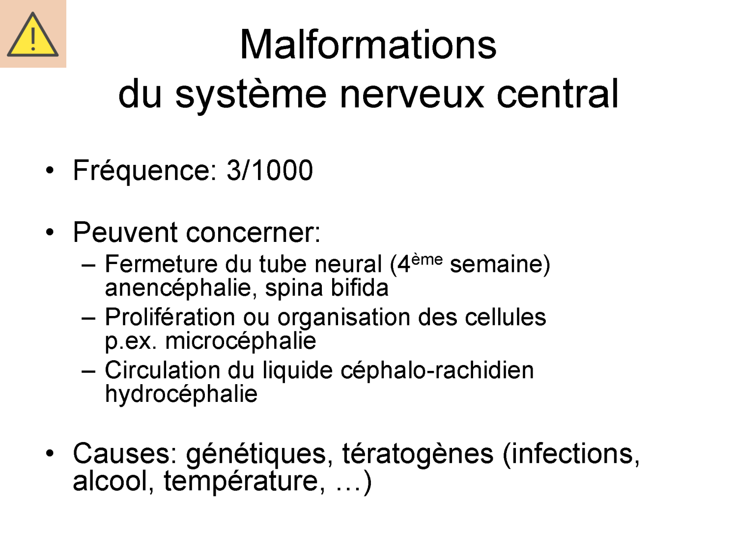 COURS 2025-2026 pdf 2024 2025 Développement du système nerveux- A. Ruiz i Altaba page 54