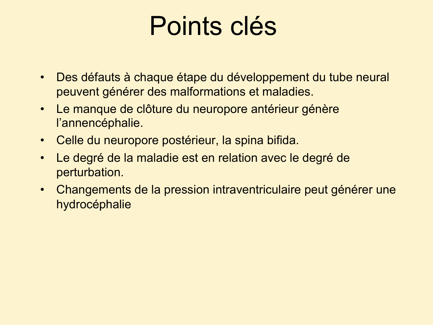 COURS 2025-2026 pdf 2024 2025 Développement du système nerveux- A. Ruiz i Altaba page 63