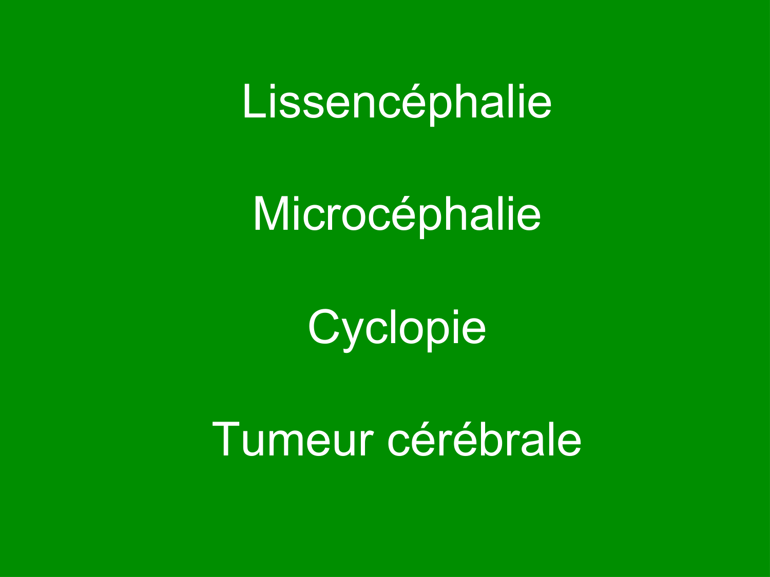 COURS 2025-2026 pdf 2024 2025 Développement du système nerveux- A. Ruiz i Altaba page 64
