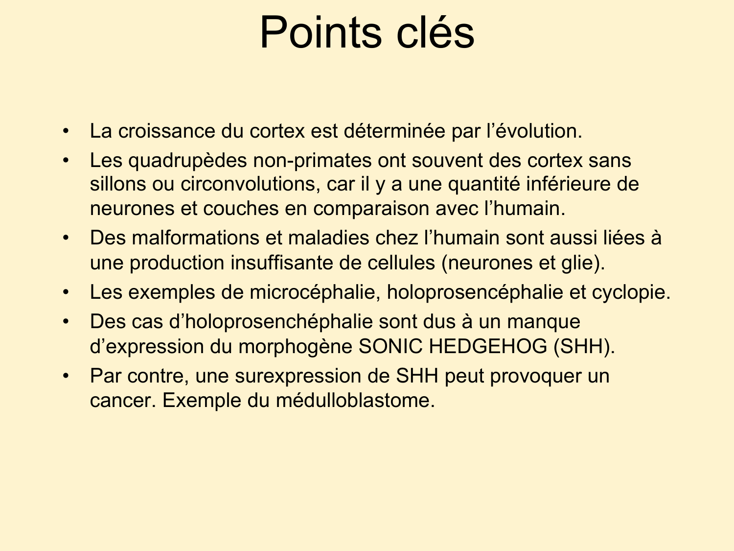 COURS 2025-2026 pdf 2024 2025 Développement du système nerveux- A. Ruiz i Altaba page 73
