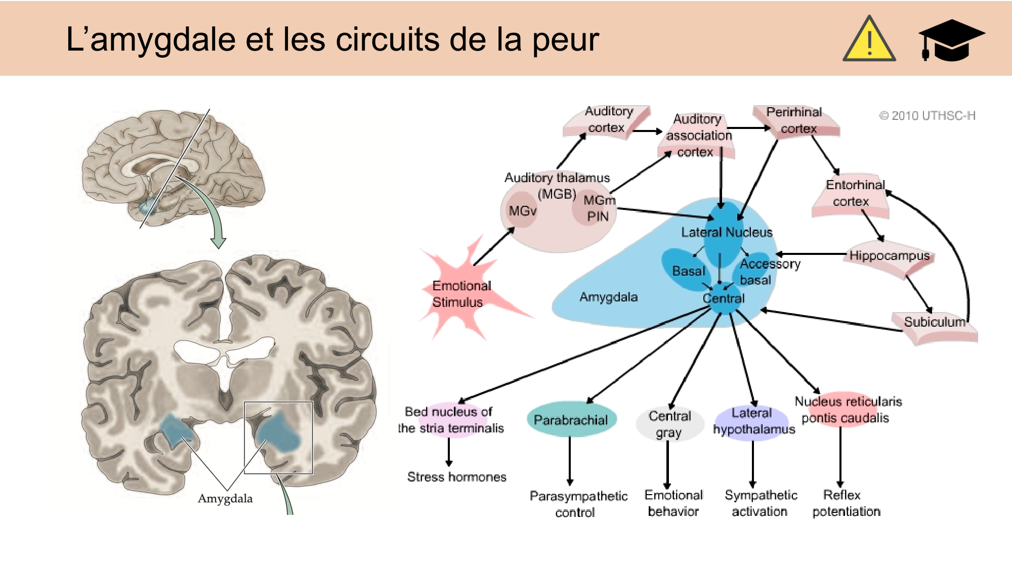 CARLETON JABAUDON cours 2024 etats internes et maladies neurologiques page 5