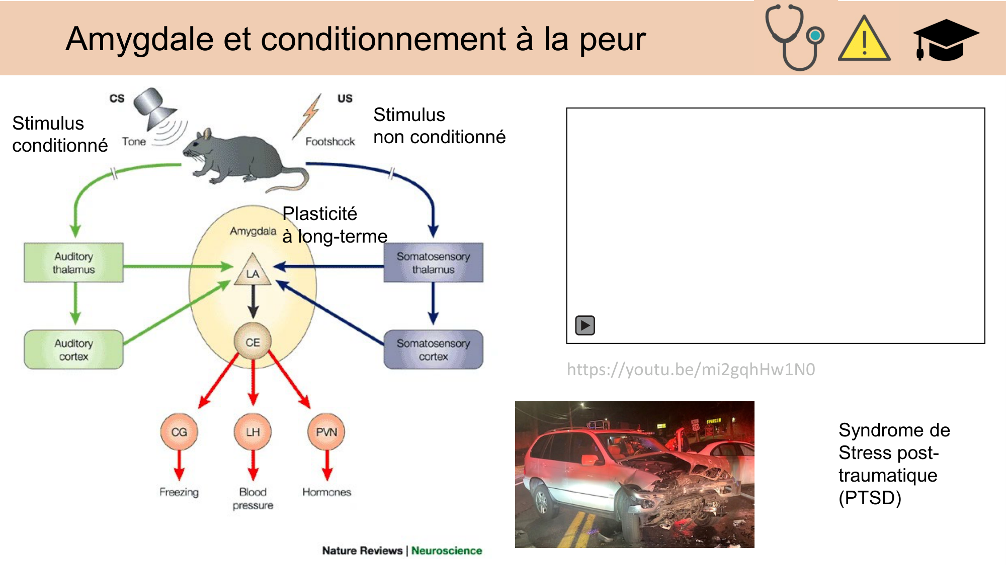 CARLETON JABAUDON cours 2024 etats internes et maladies neurologiques page 6