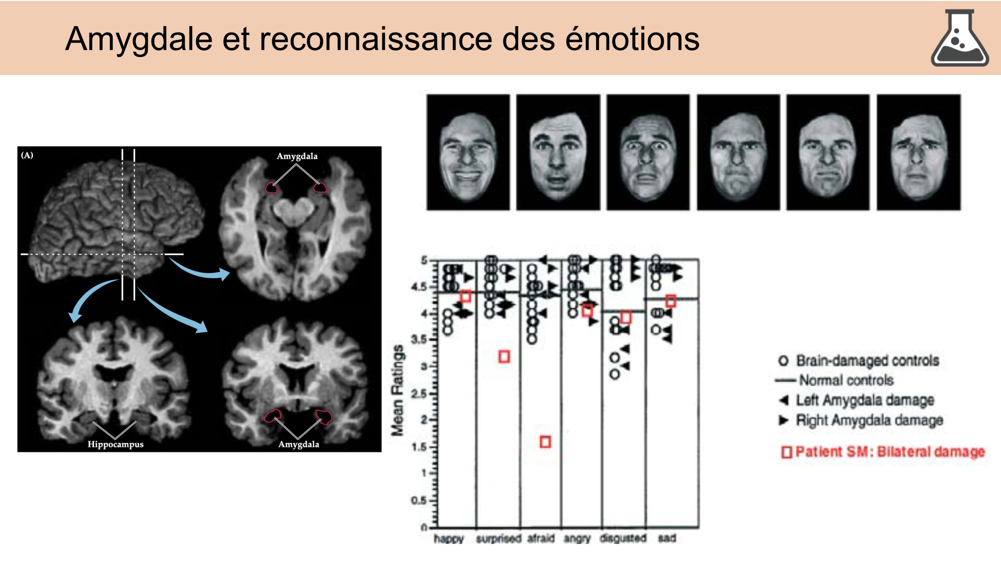 CARLETON JABAUDON cours 2024 etats internes et maladies neurologiques page 7