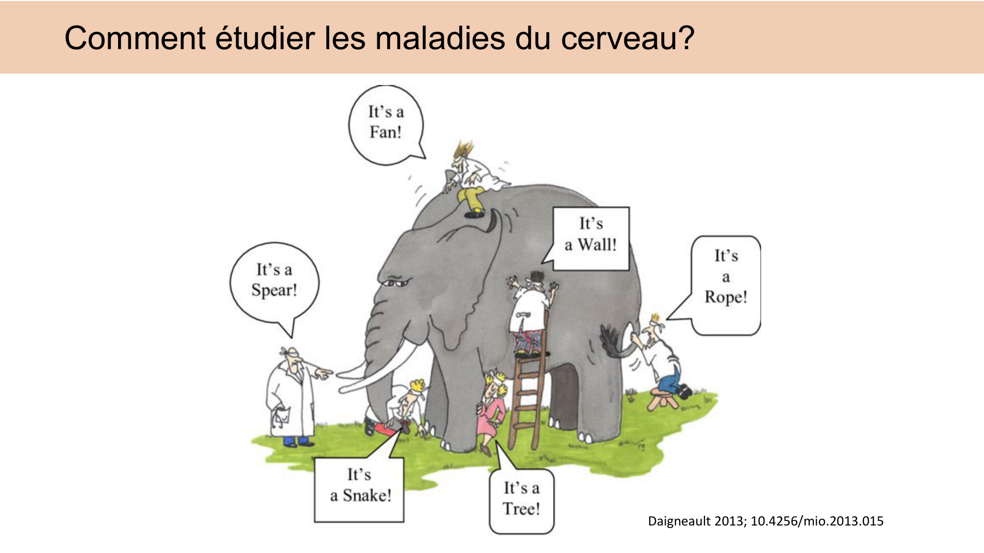 CARLETON JABAUDON cours 2024 etats internes et maladies neurologiques page 8